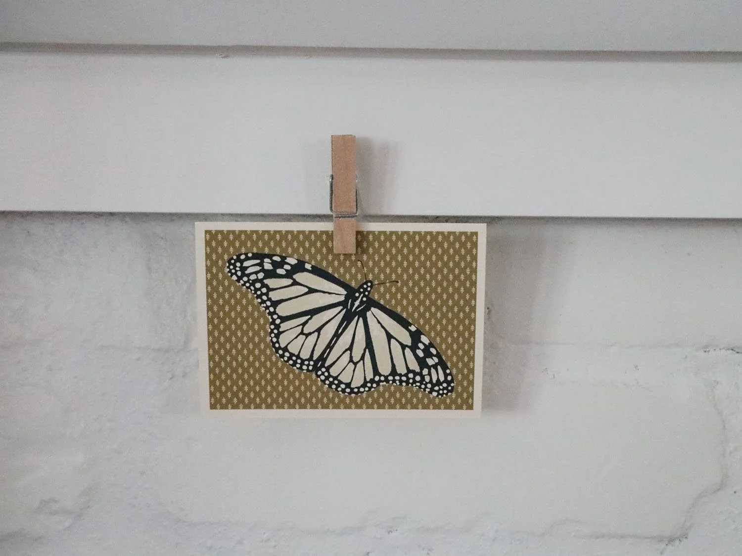 White Monarch 2.jpg