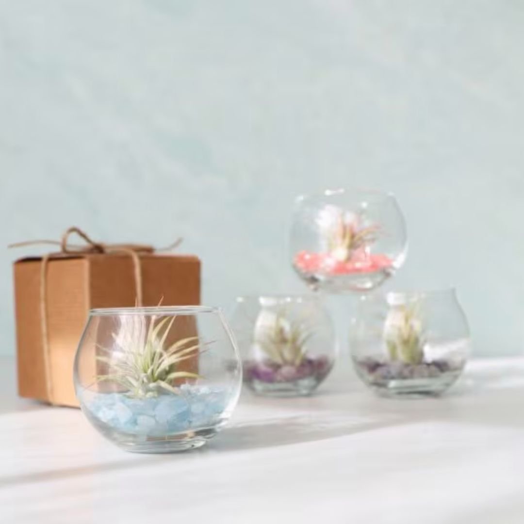 Mini Bubble Product Photo.jpg