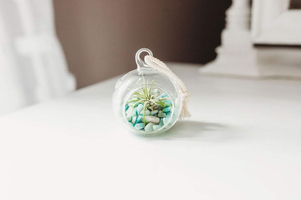 Orb-Air-Plant-Terrarium-Turquoise-Stones.jpg