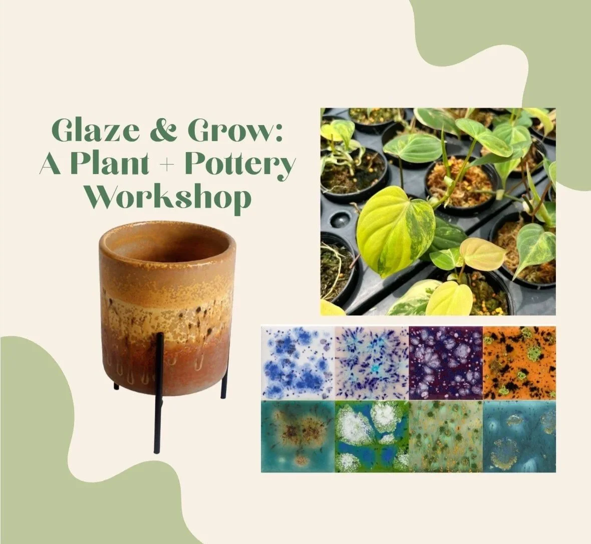 Glaze &amp; Grow: A Plant + Pottery Workshop