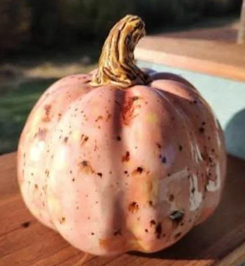 specialty glaze pumpkin 2.jpg