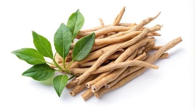Ashwagandha: The Ancient Herb for Stress Relief and Wellness