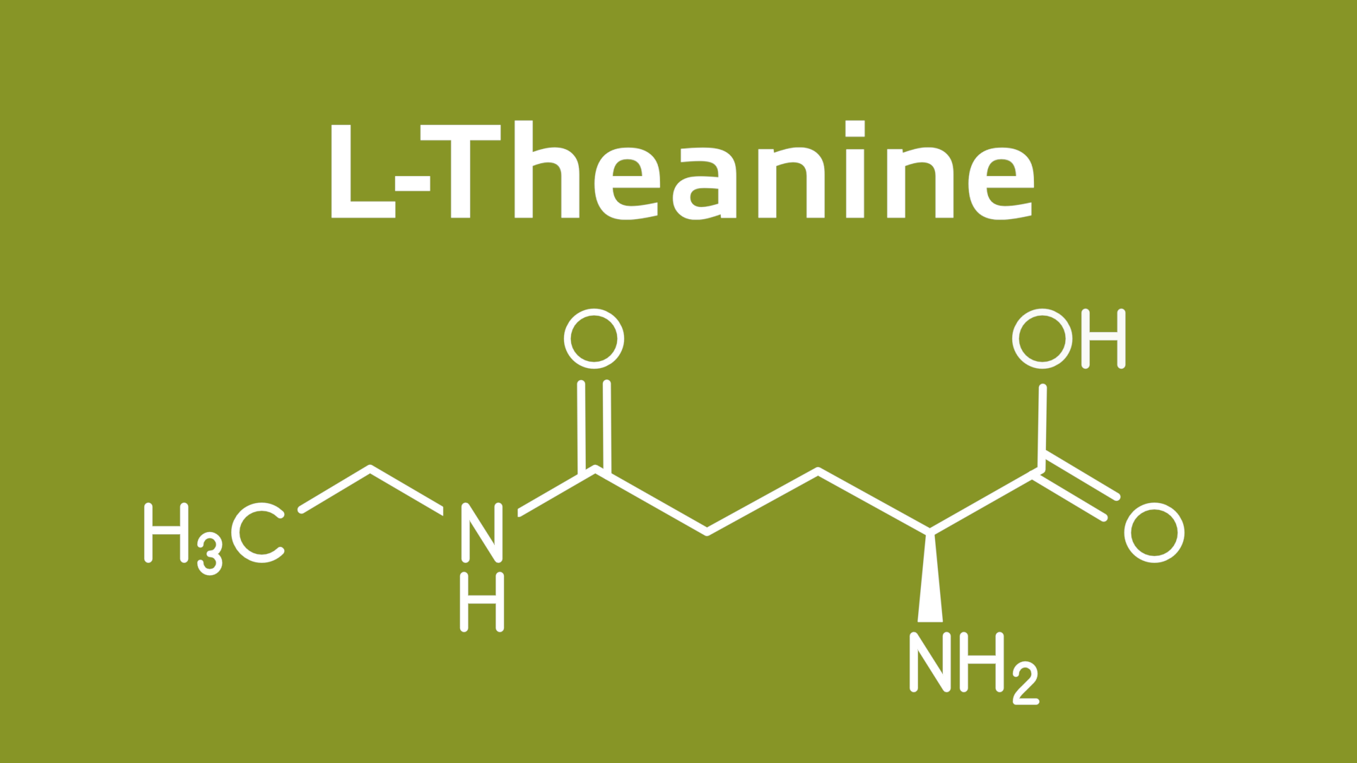 L-Theanine: The Relaxation Boost Your Body Needs