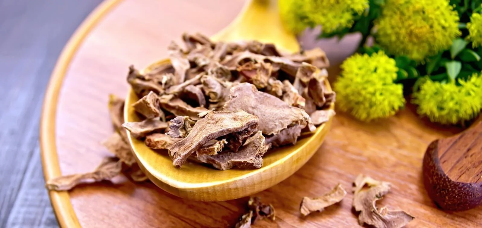 Rhodiola: A Natural Adaptogen for Stress, Energy, and Mental Clarity