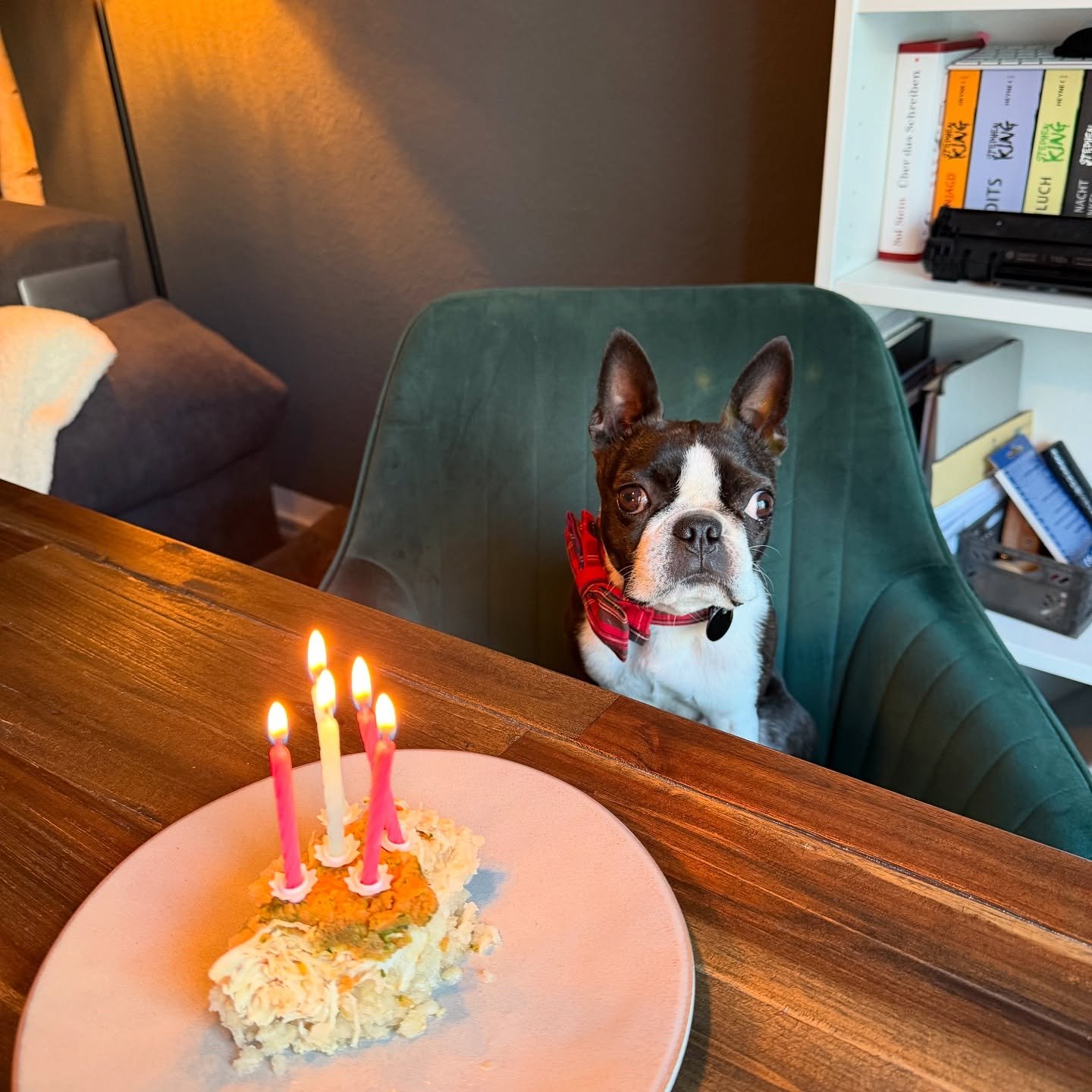 Mein kleiner Frechmops, jetzt bist du gestern einfach schon 5 Jahre alt geworden 🥹🎂 Kaum zu glauben, dass wir schon 1753 Tage miteinander verbringen. Manchmal f&uuml;hlt es sich sogar so an, als w&auml;rst du schon immer da gewesen - schlie&szlig;l