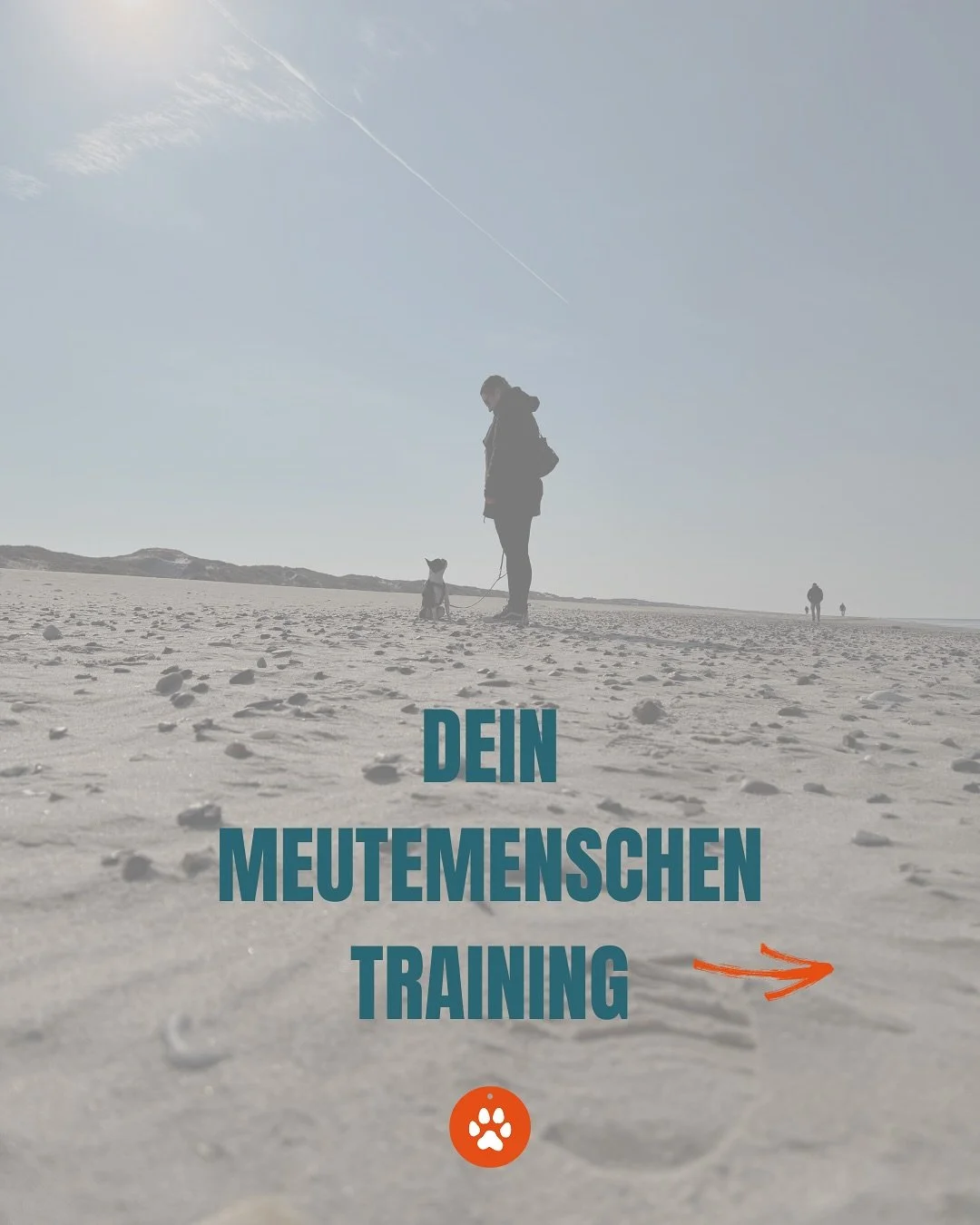 Ich freue mich, dass du auf mein Profil gesto&szlig;en bist! In diesem Post findest du mein aktuelles Trainingsangebot f&uuml;r Hamburg &amp; Umgebung, sowie online &uuml;berall dort wo du gerade bist. Solltest du noch Fragen haben, melde dich gerne 