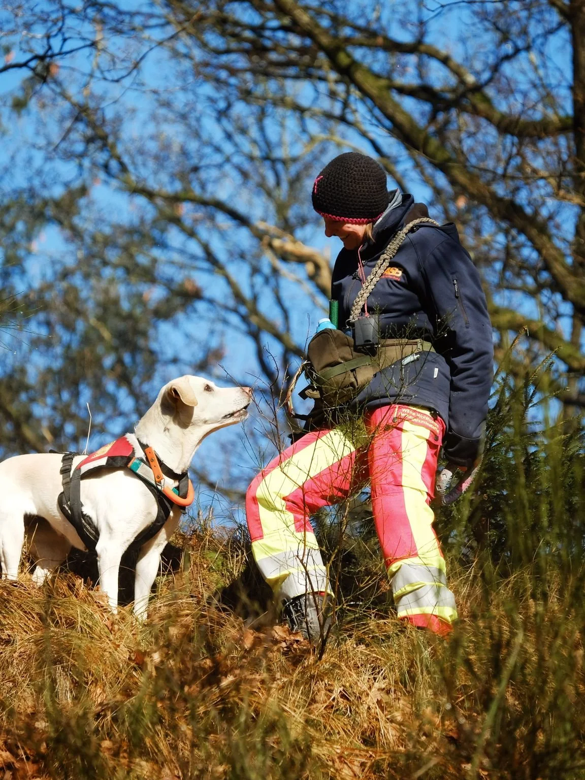 Frau mit Hund im Wald bei Sonnenlicht, trägt eine schwarze Jacke und leuchtend gelb-rote Hose, steht auf einem baumreichen Hügel und schaut den Hund an.