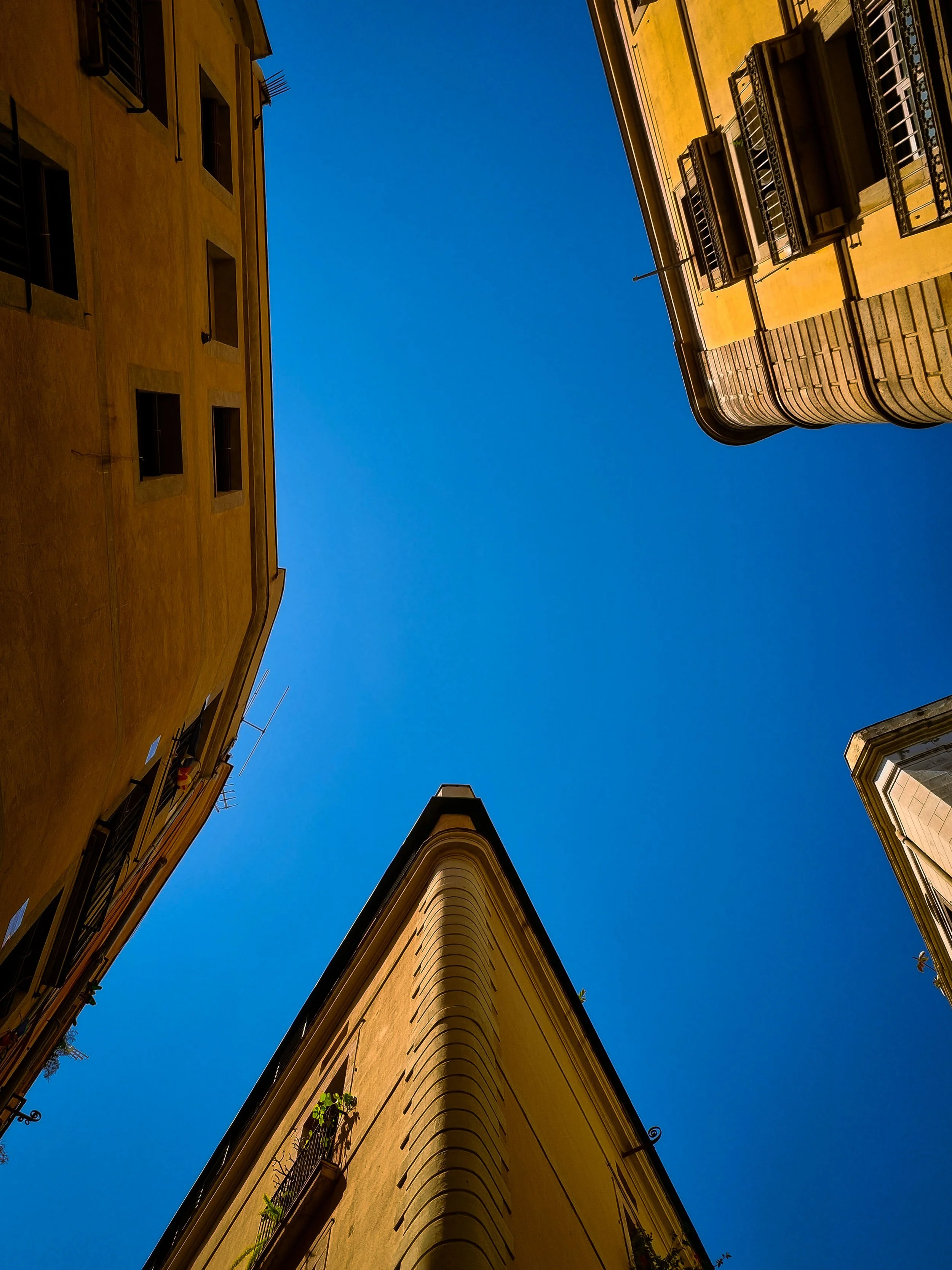 20220826_143839.jpg