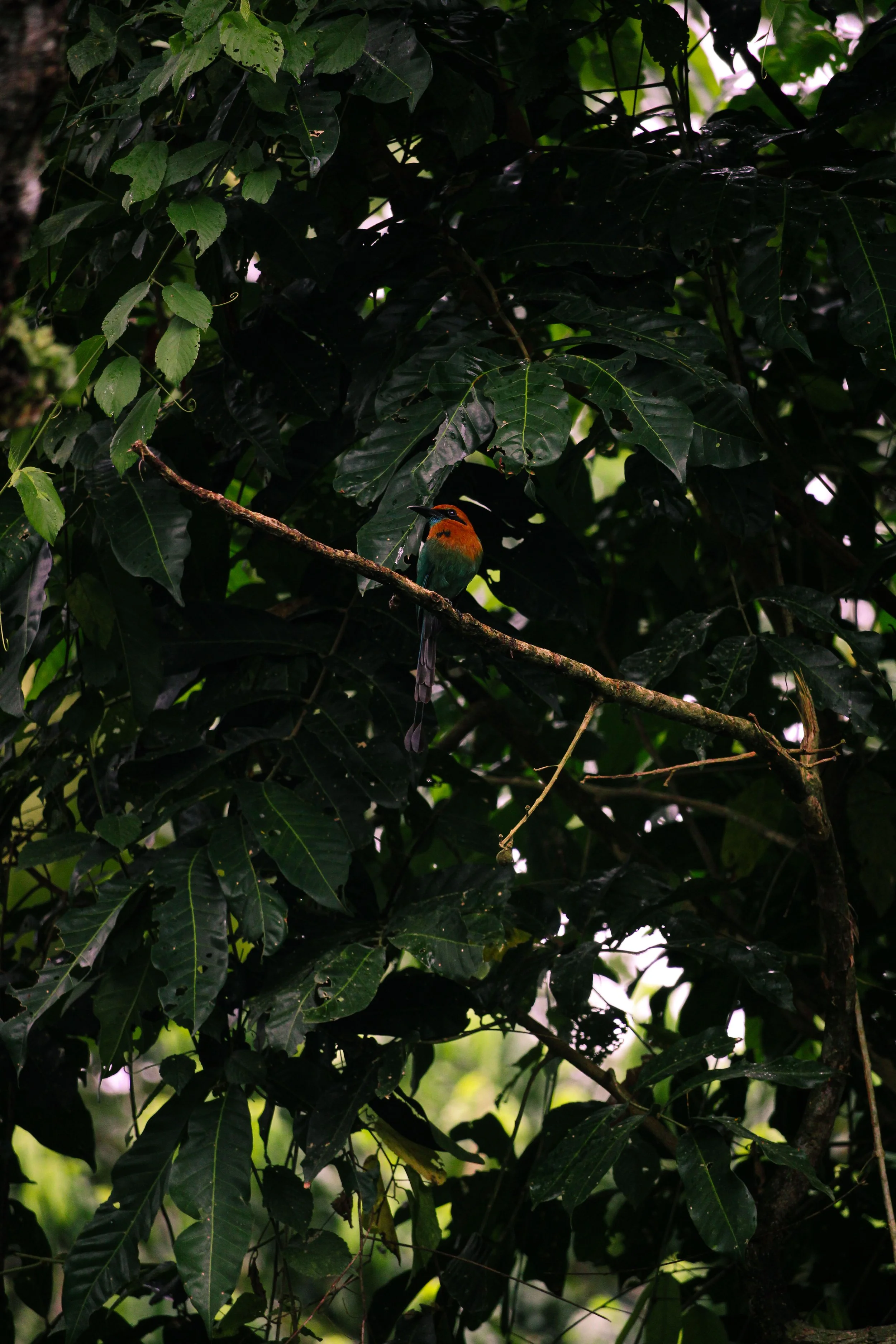 IMG_6102.jpg