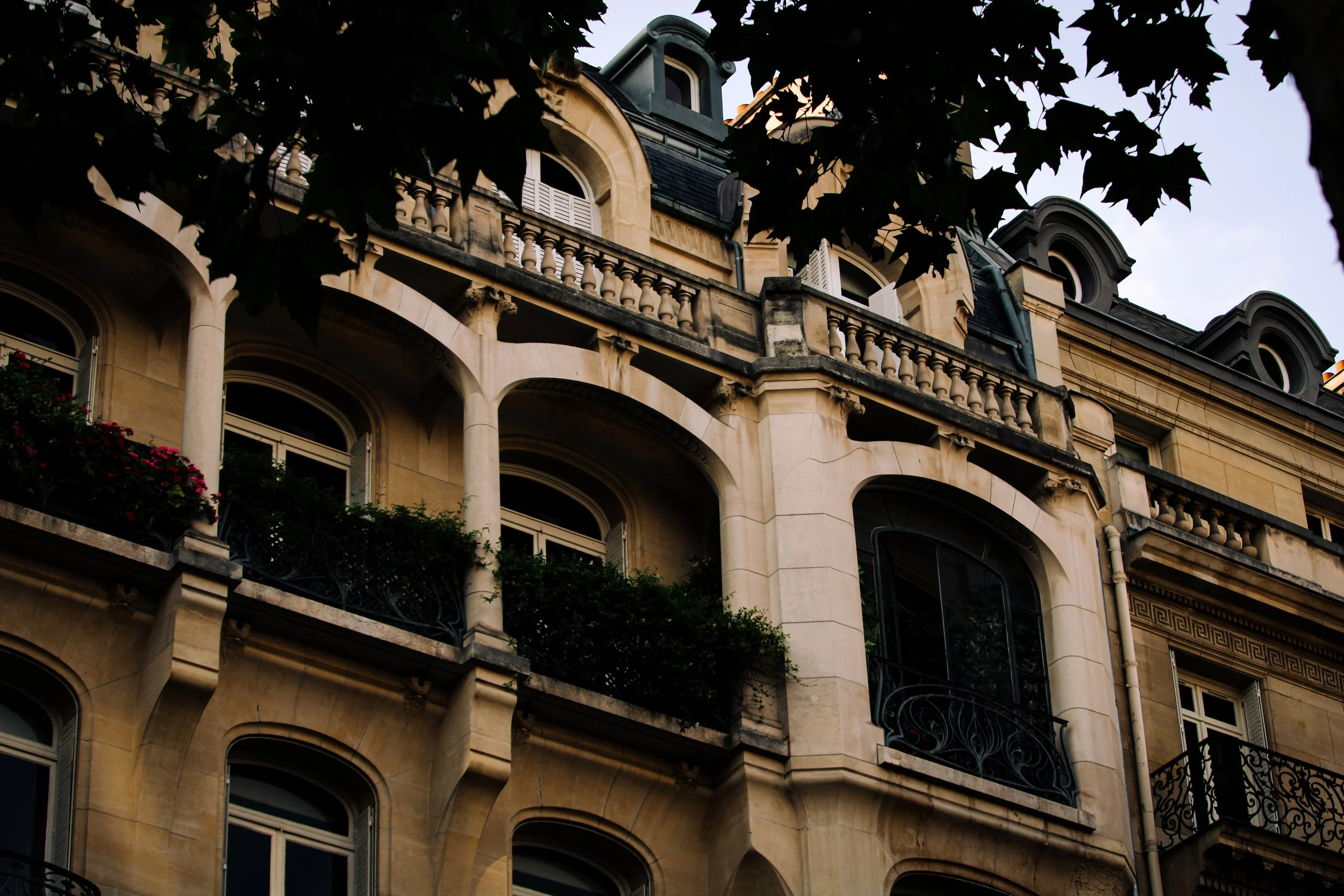 IMG_0511.jpg