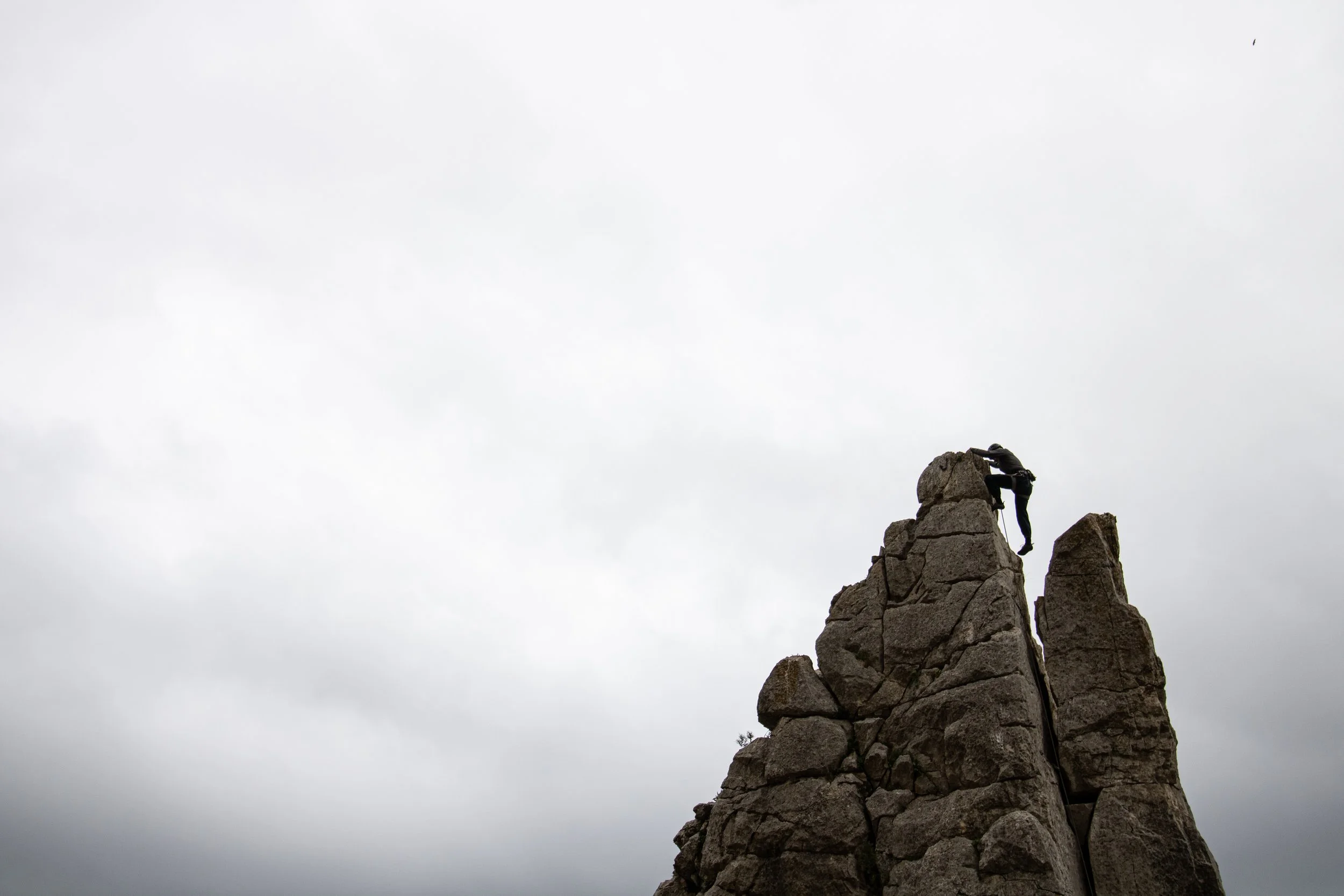 IMG_2773.jpg