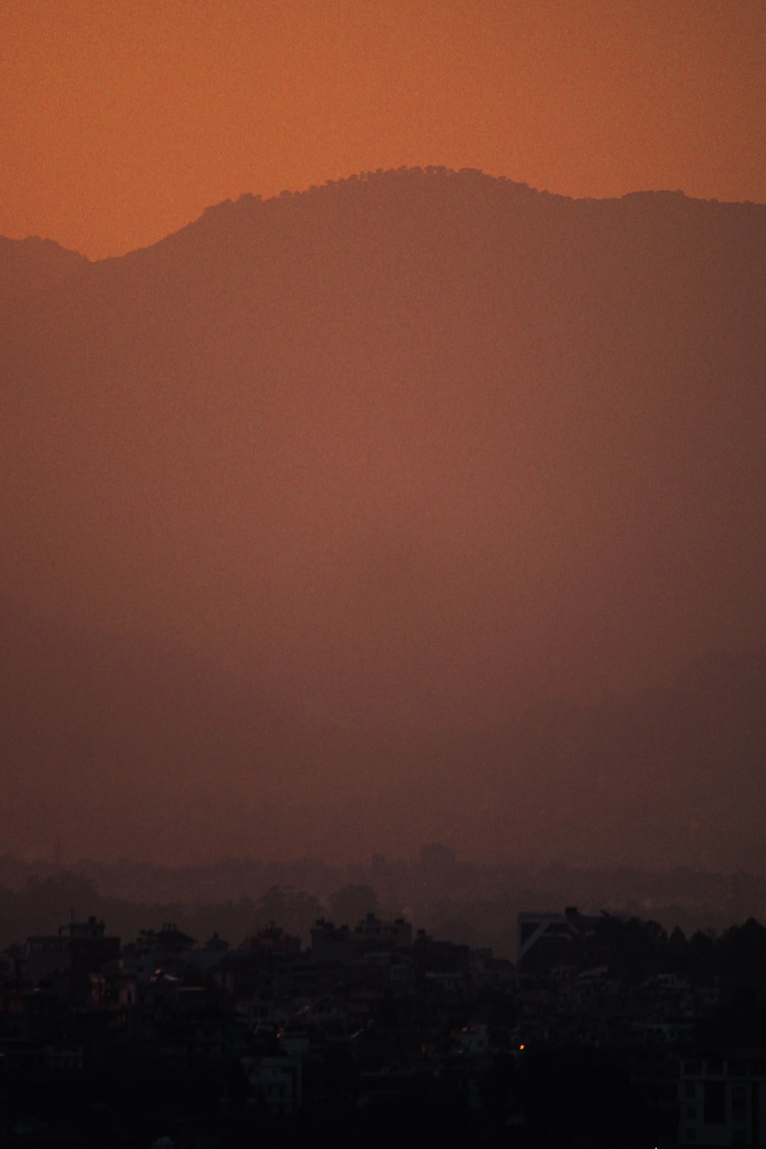 IMG_7246.jpg