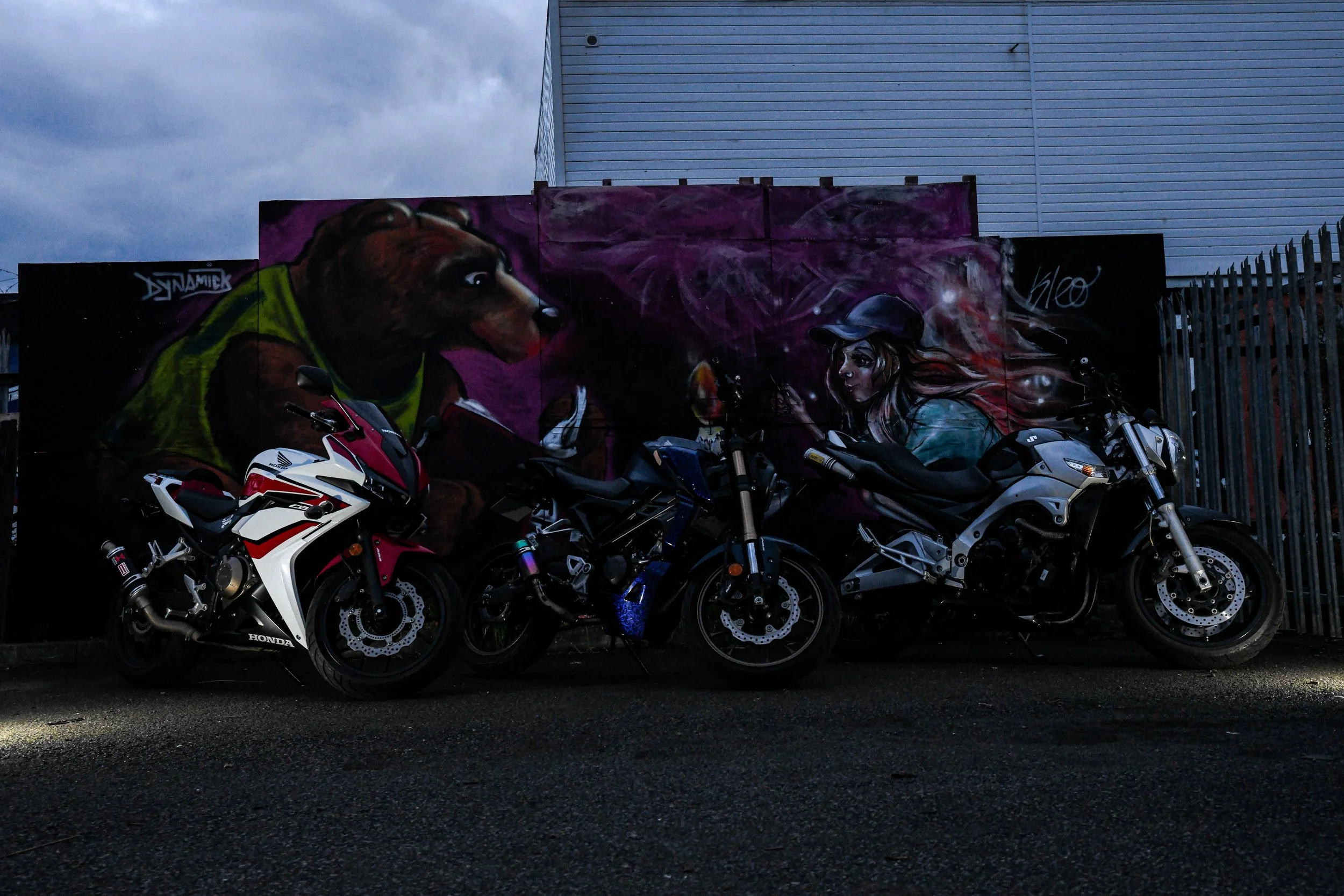 DSC_0481-2.jpg