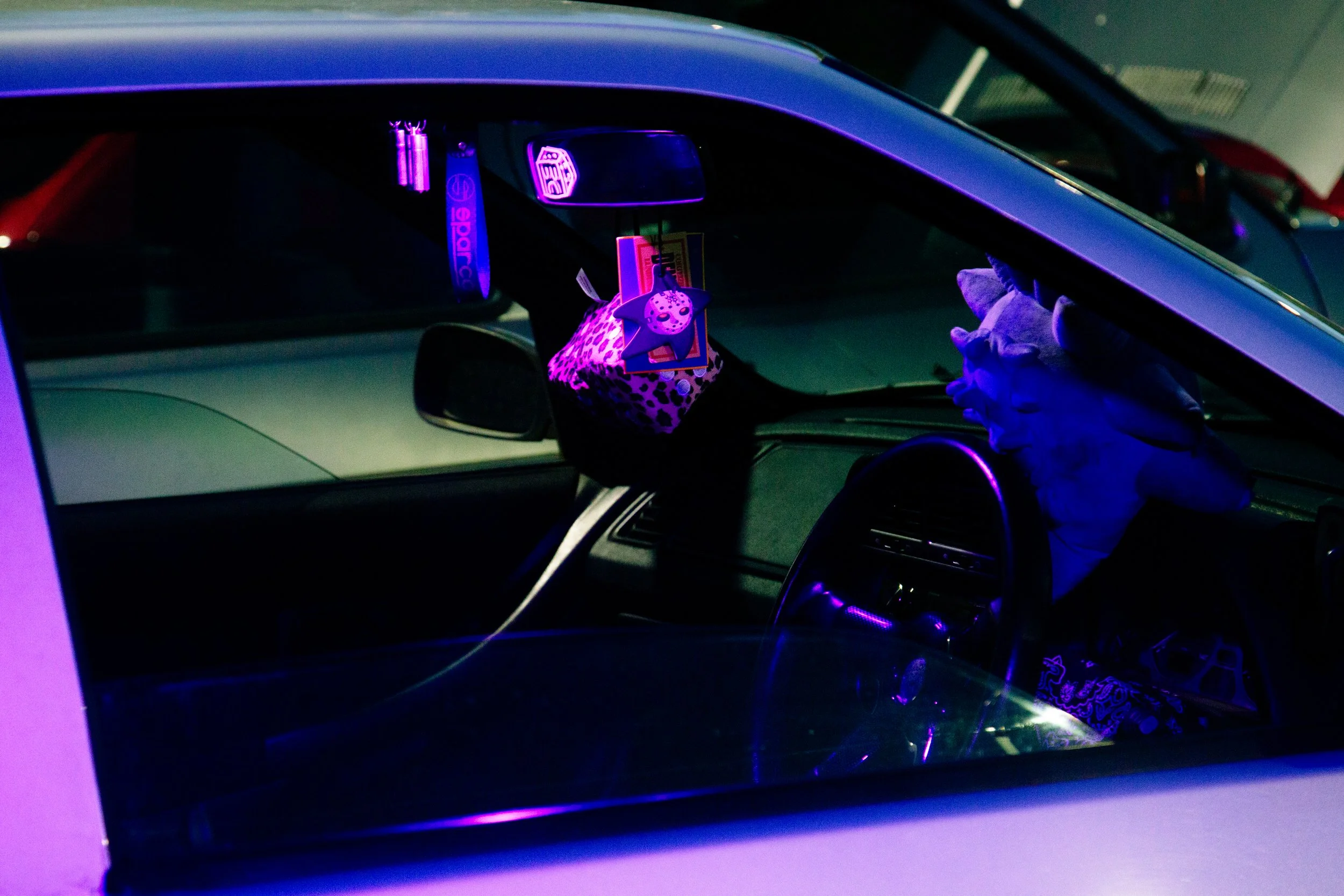 L89C6095-2.jpg