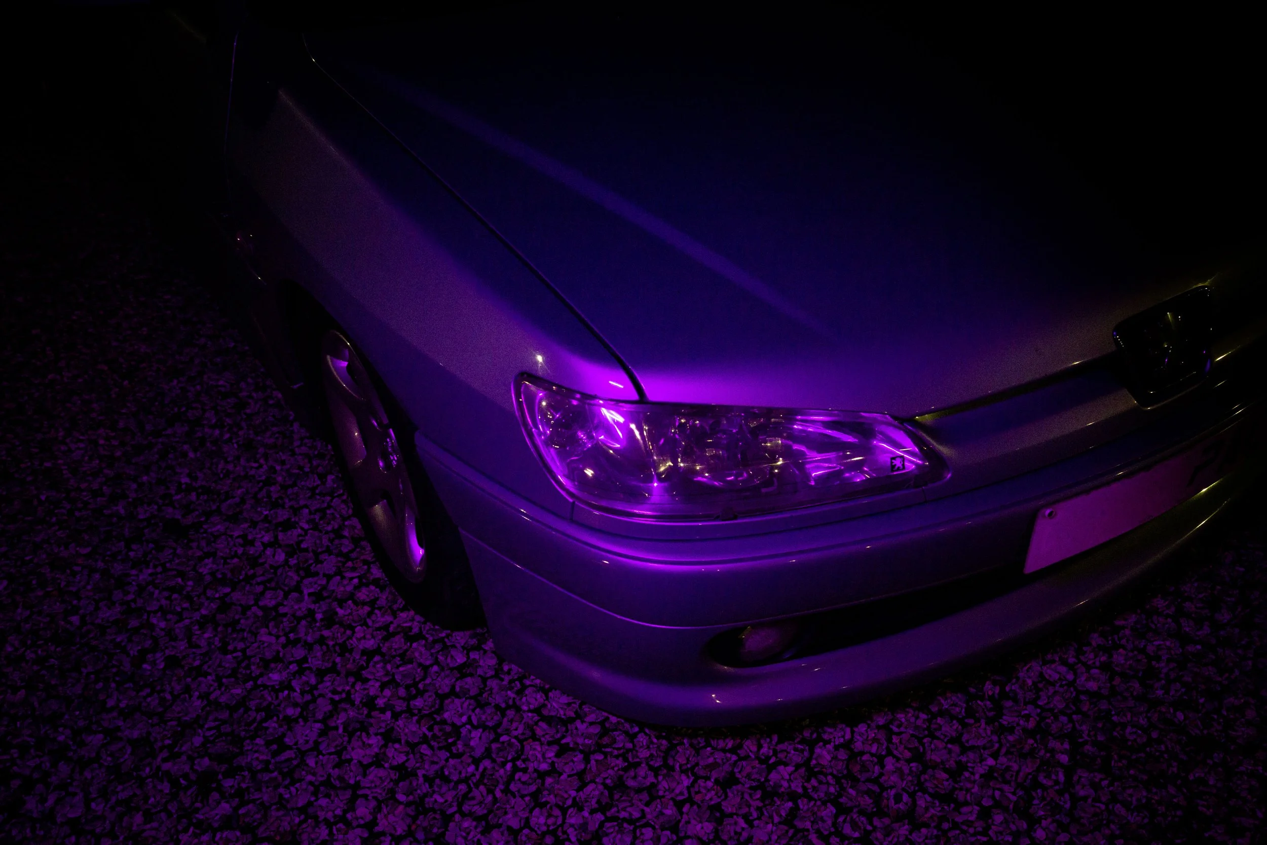 L89C6514.jpg
