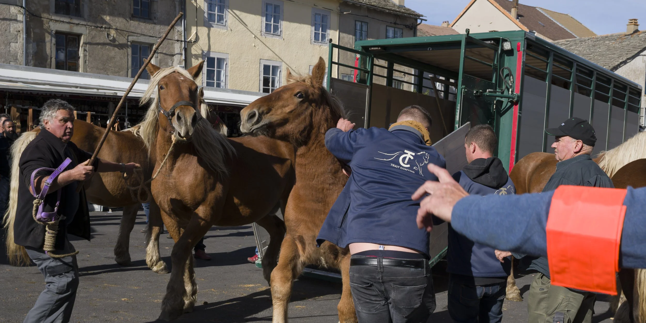 Marché aux chveaux Fay sur Lignon 2024, le chargement des cheveaux