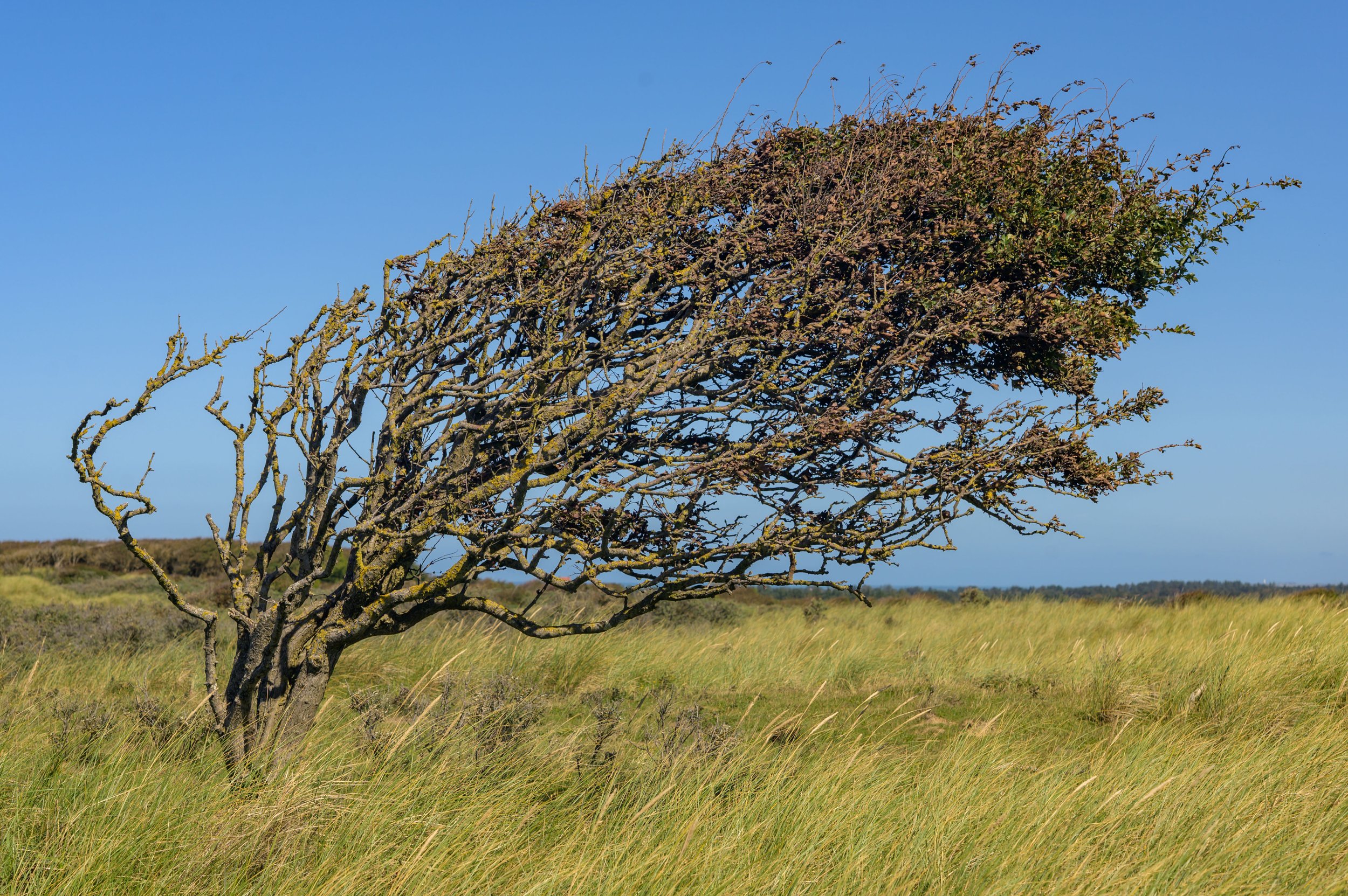 Danemark_2023-11.jpg