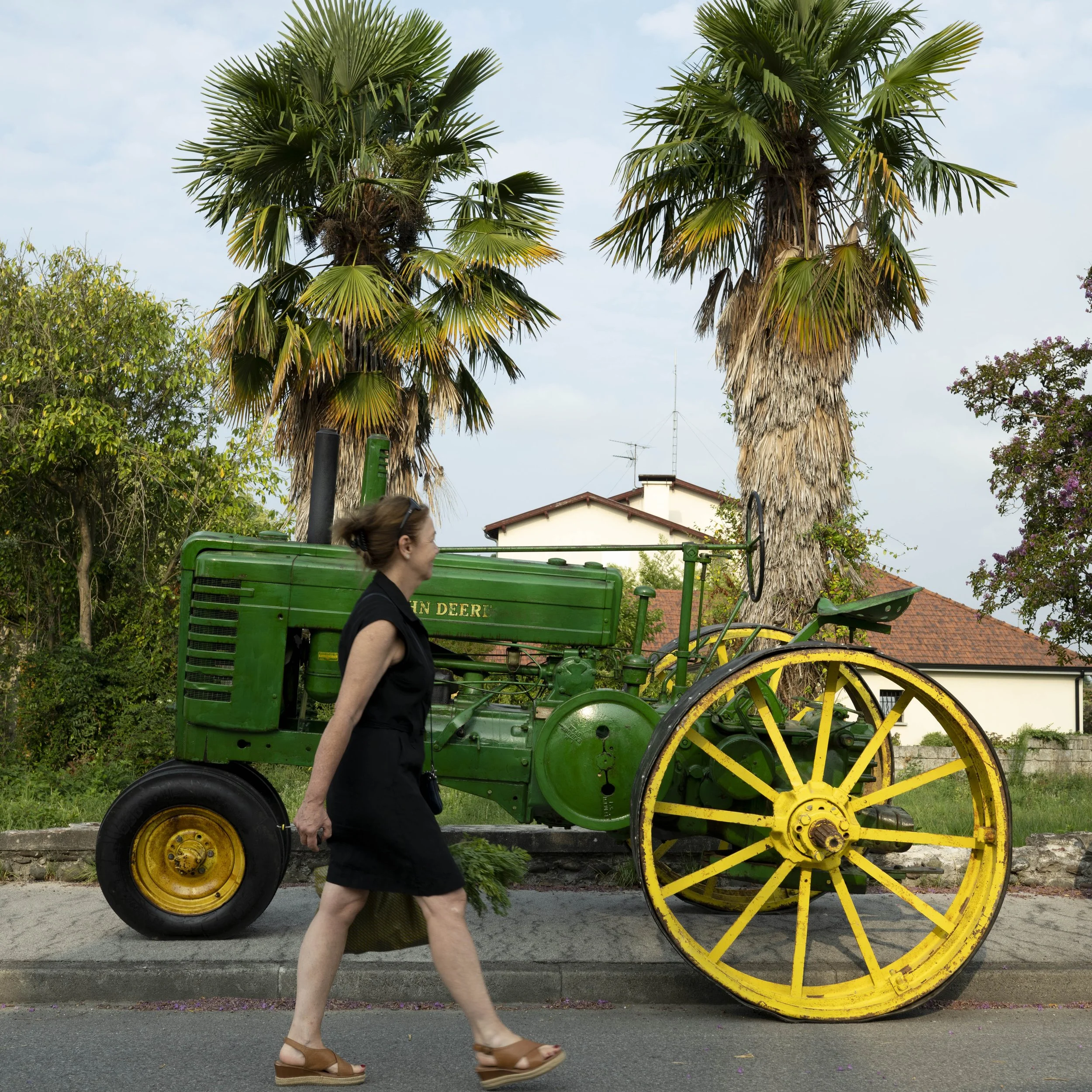 fête de la blonde d’Aquitaine  à Sauveterre de Béarn en aout 2025. Un ancien tracteur