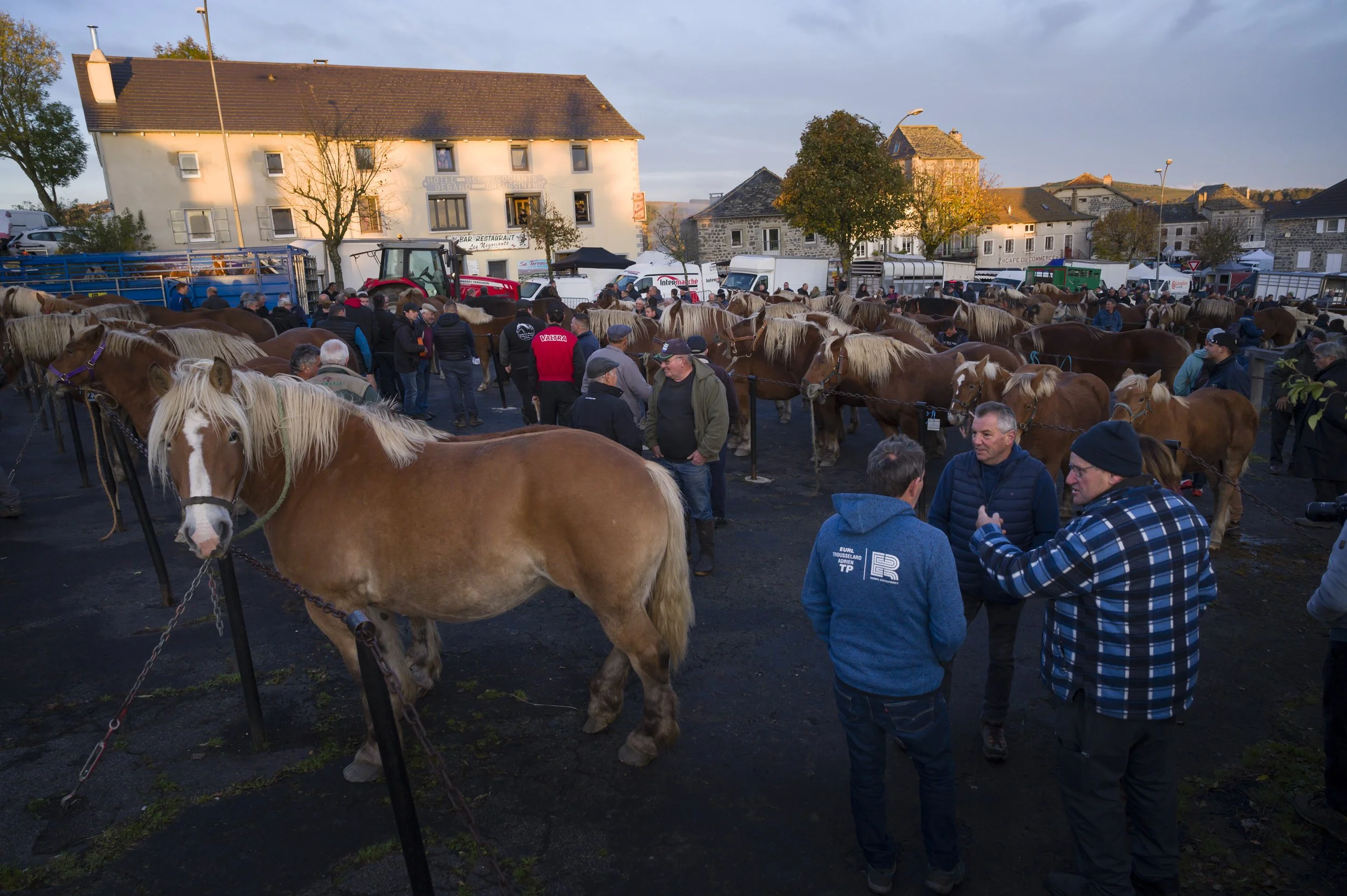 Marché aux chveaux Fay sur Lignon 2024, le marché