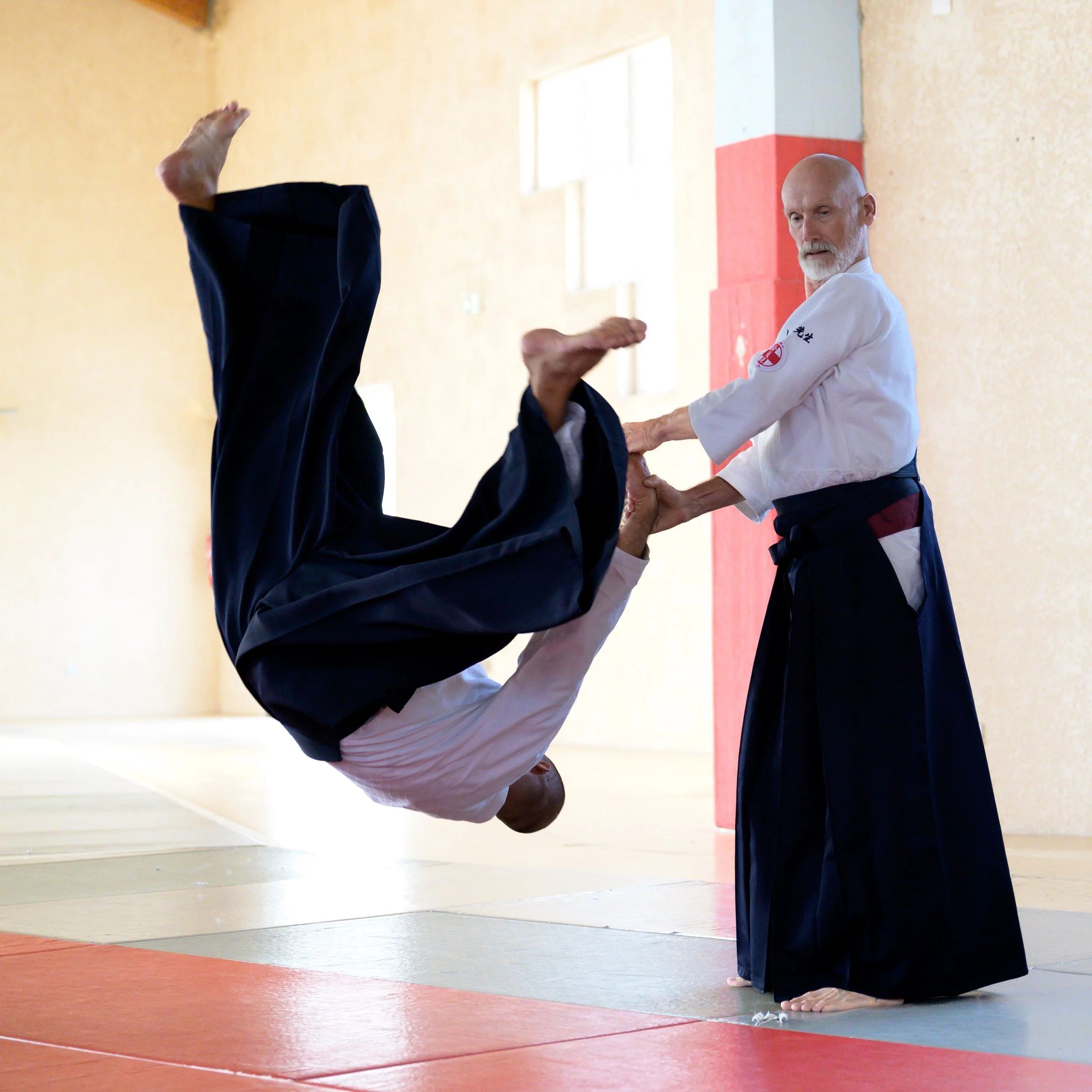 Aïkido, image d'une technique d'Aïkido