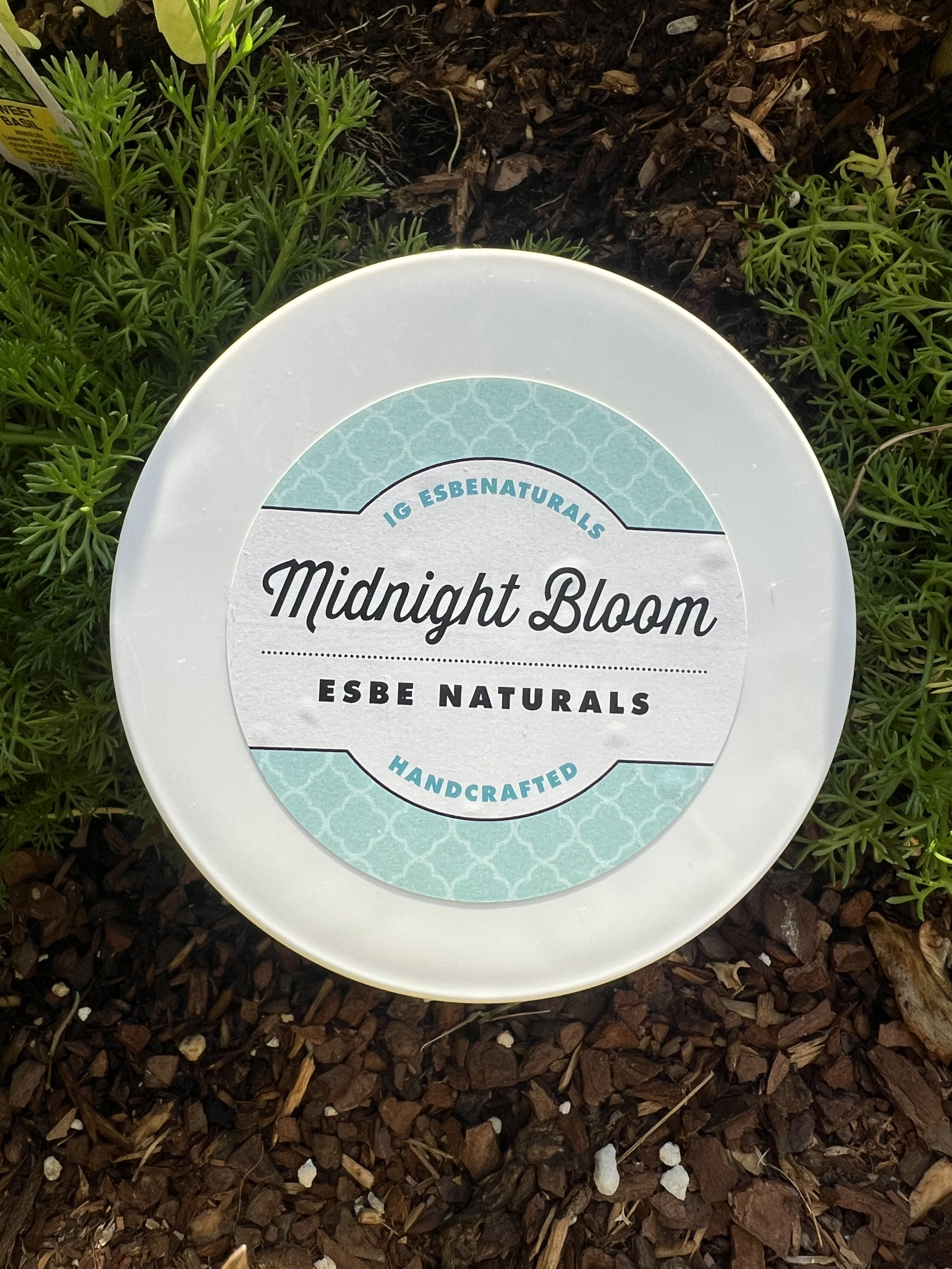 Midnight Bloom