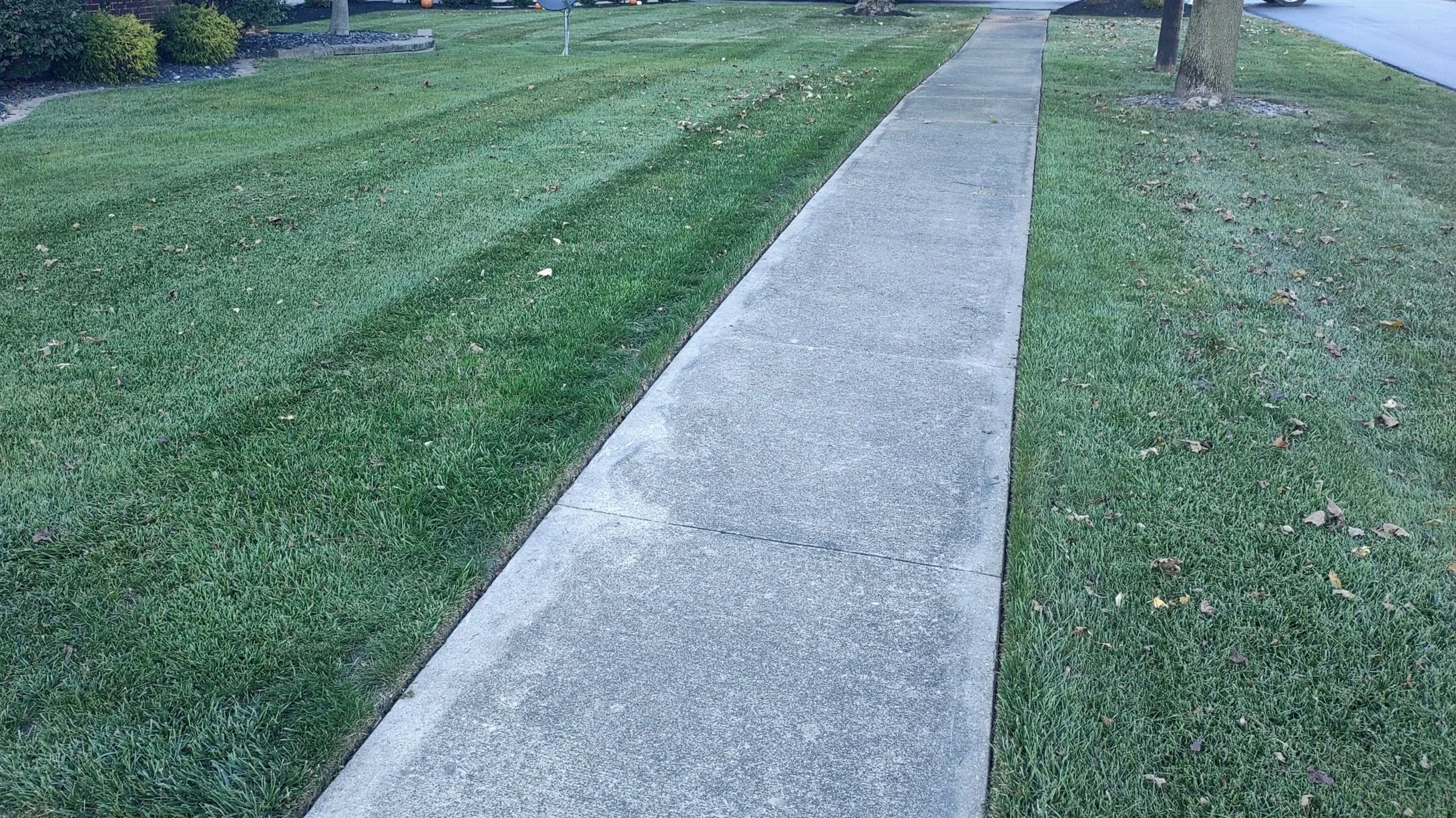 A sidewalk runs through a well-maintained grassy area with trees along the path.