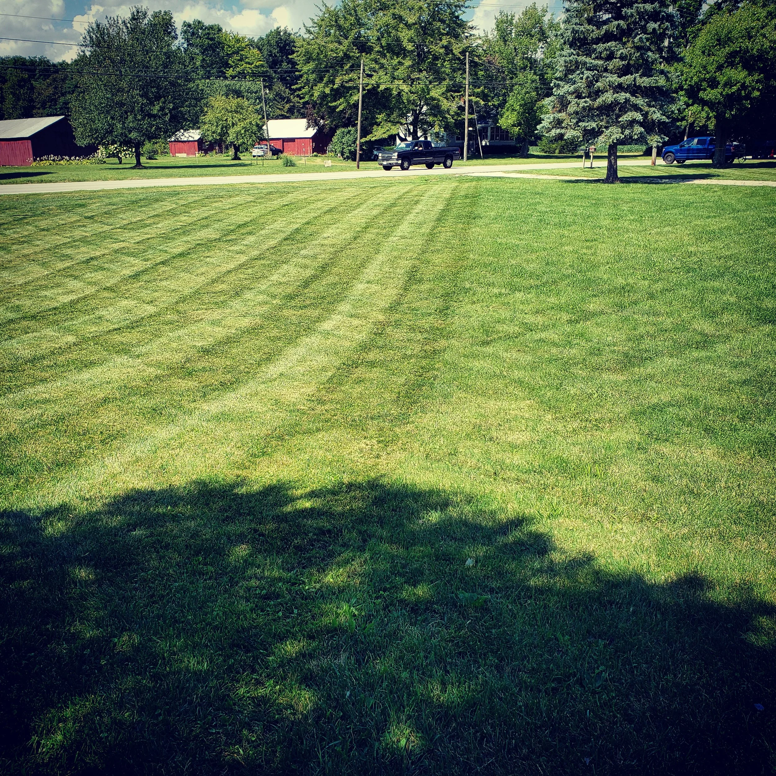 A freshly mowed grassy field with visible mower lines, with trees and a road in the background, and parked vehicles on the roadside.