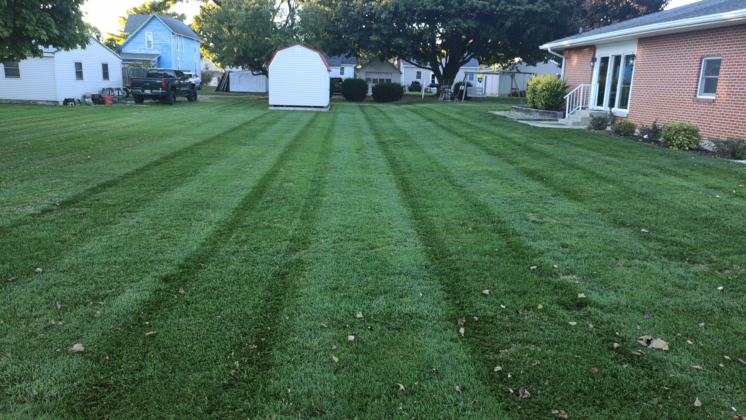 A well-maintained lawn with mower stripes, houses, trees, and a small white shed in a neighborhood.