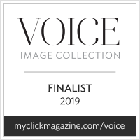 The VOICE Image Collection finalist badge from 2019 in black and white.