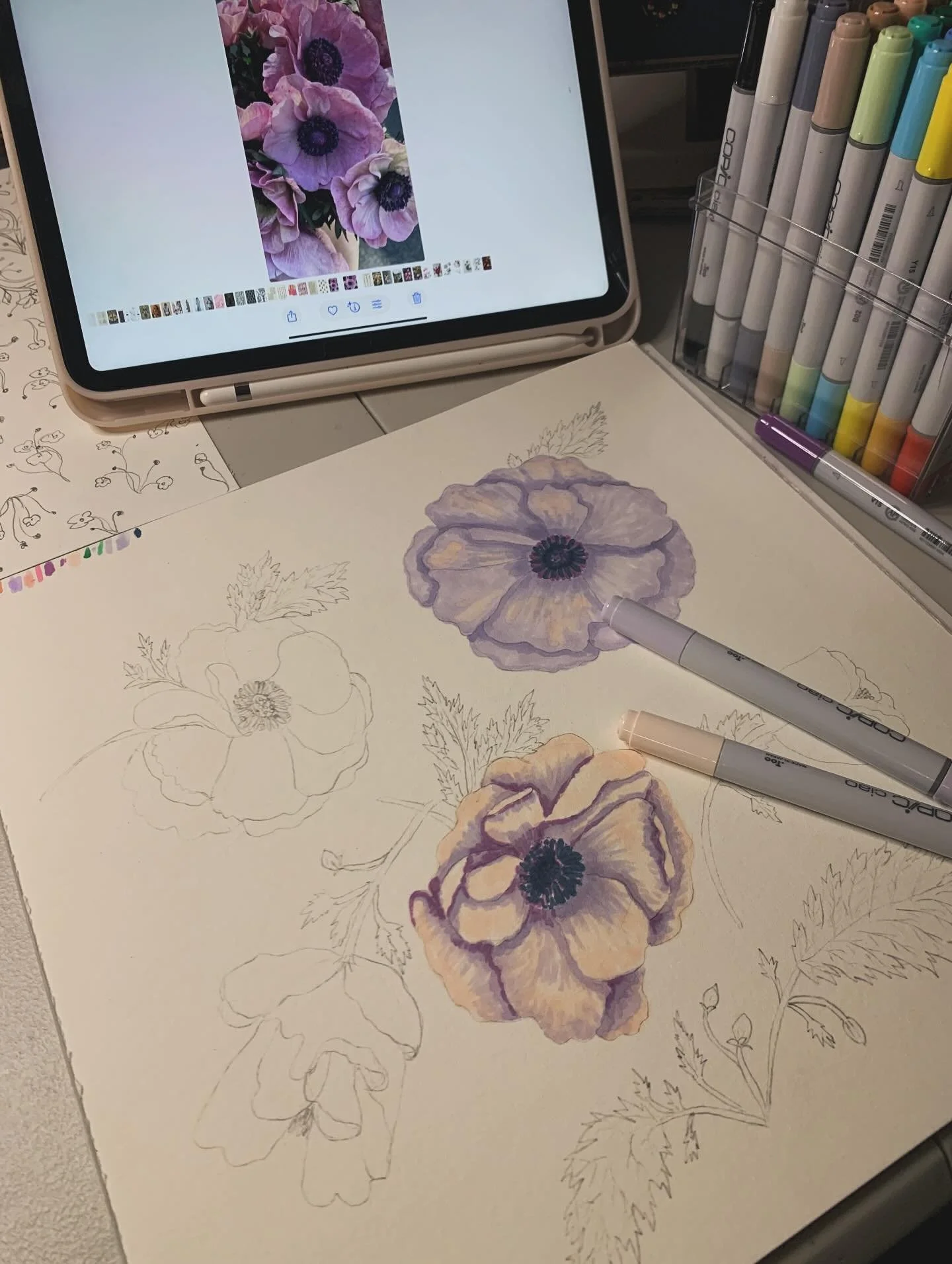WIP &mdash; 🌷New floral collection 🌷

#floralfabricdesign #floralsketch #floralillustrations #copicmarkers #textileprints #textilepattern #textileprintdesign #surfacepatterndesign