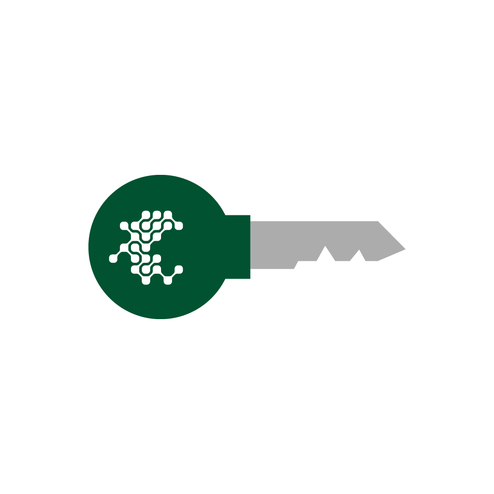 Illustration of a key with a green circular head featuring a white abstract pattern.