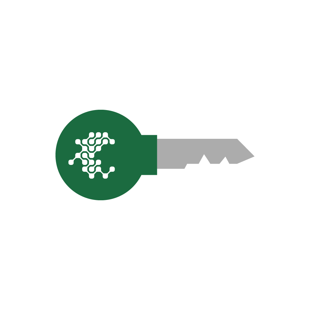 Illustration of a green key with a network pattern on the round handle