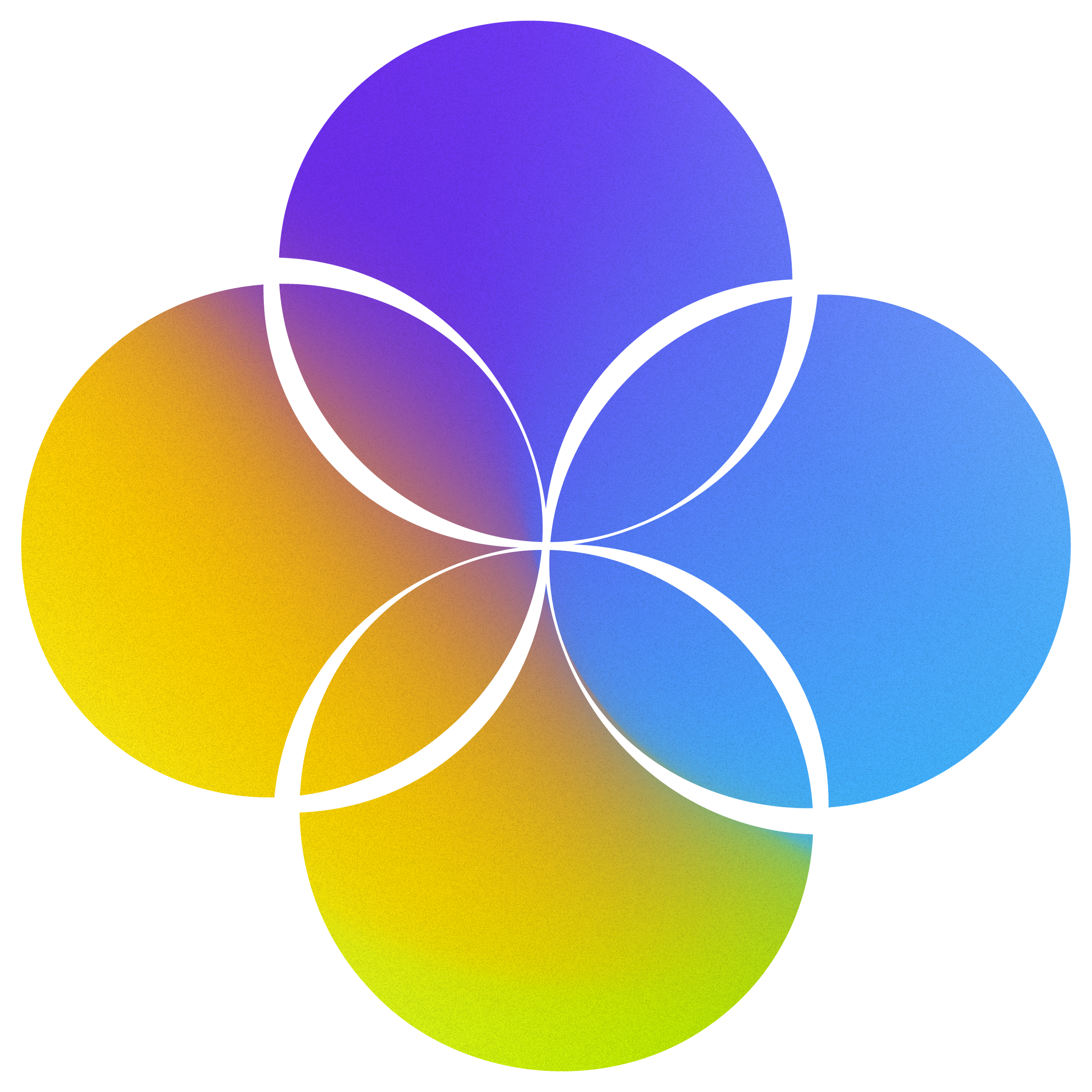 ExperienceProfiles_2025_fav color.png