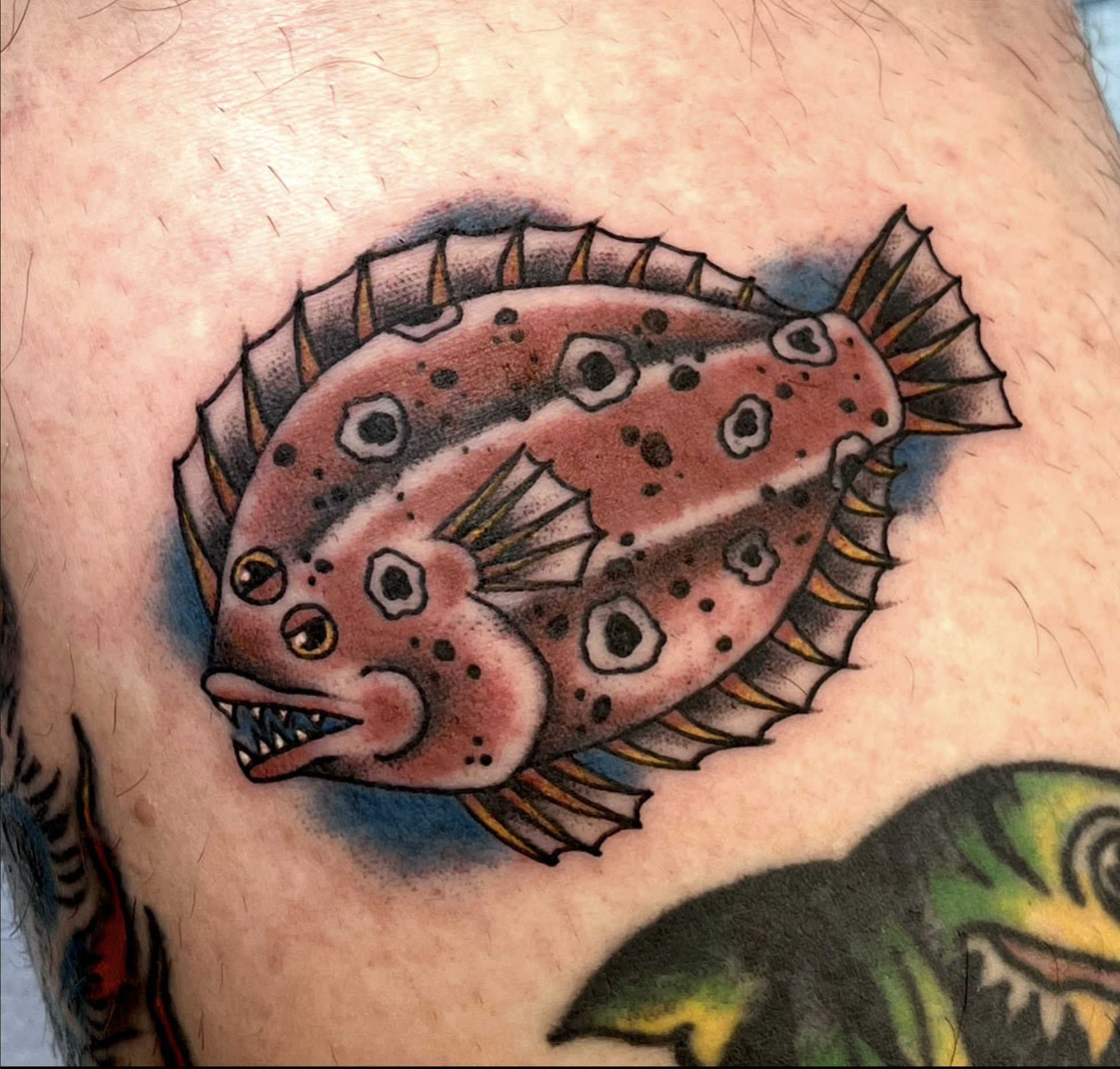 Screenshot 2025-05-16 at 5.34.44 PM.png