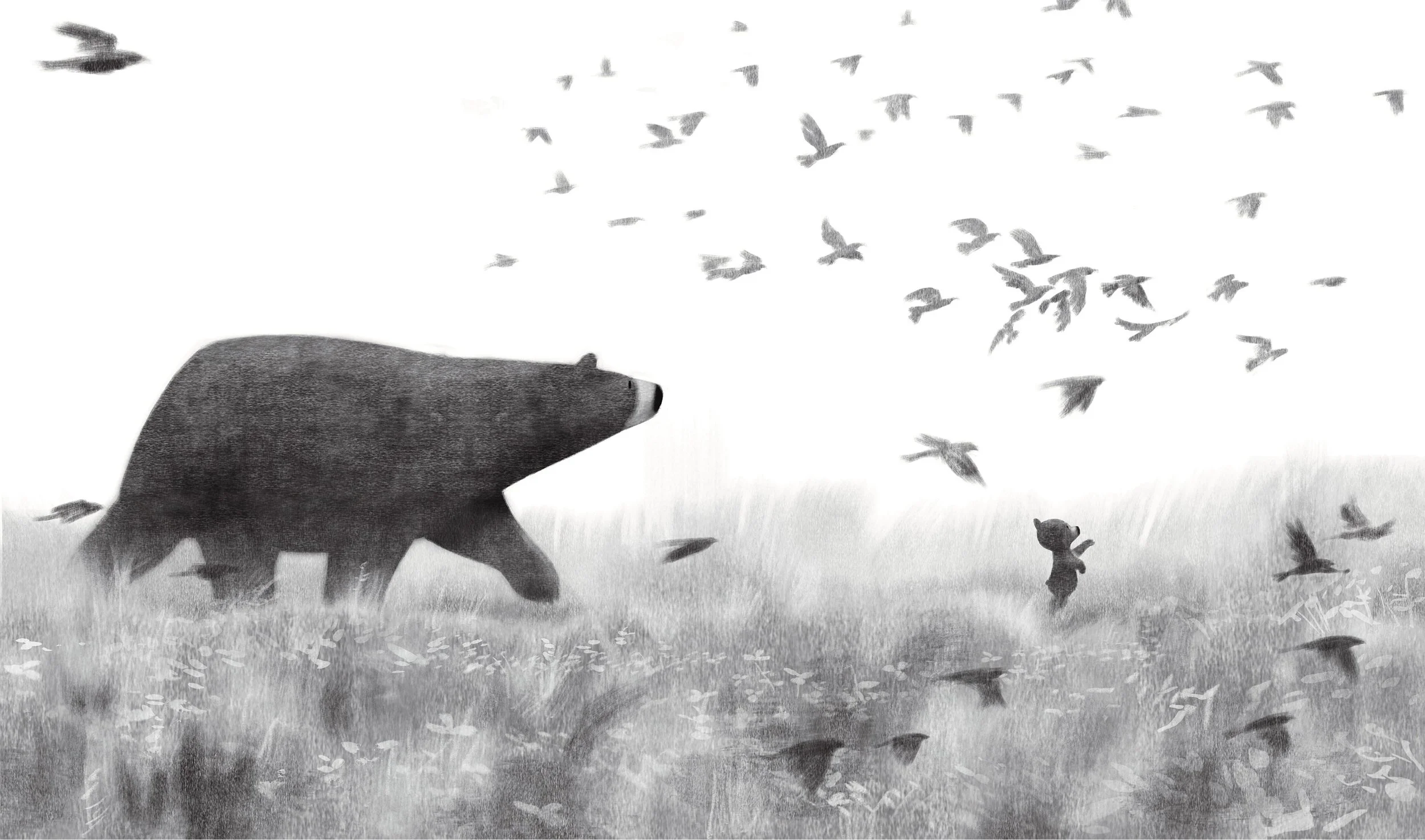 bears-and-birds.jpg