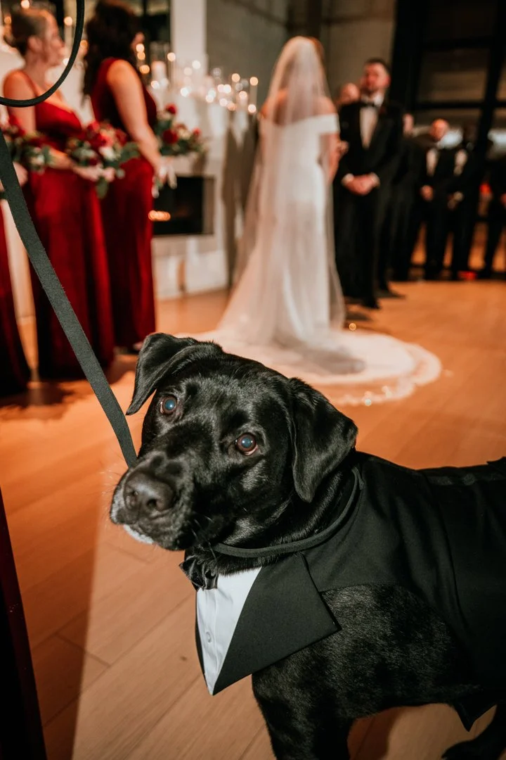 Gabrielle + Kyle switch house-50.jpg