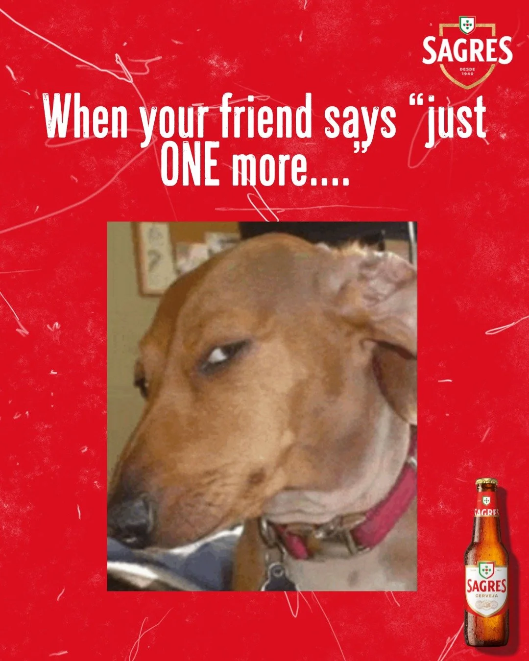 POV: you&rsquo;ve said &ldquo;last one&rdquo; four times.​

#SagresUK#Sagres #TheSpiritOfPortugal#SagresMemes​