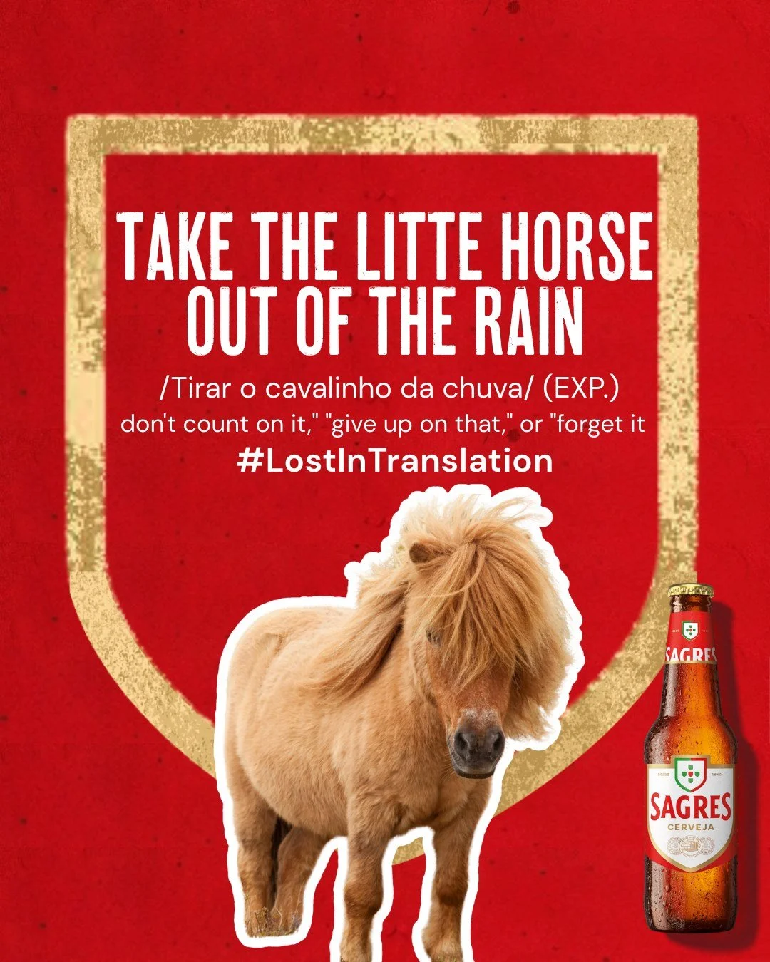When things aren&rsquo;t going your way, take the little horse out the rain&hellip; and open a Sagres 🇵🇹🍺

#LostIntranslation #Sagres #PortugueseSayings #SagresUK
