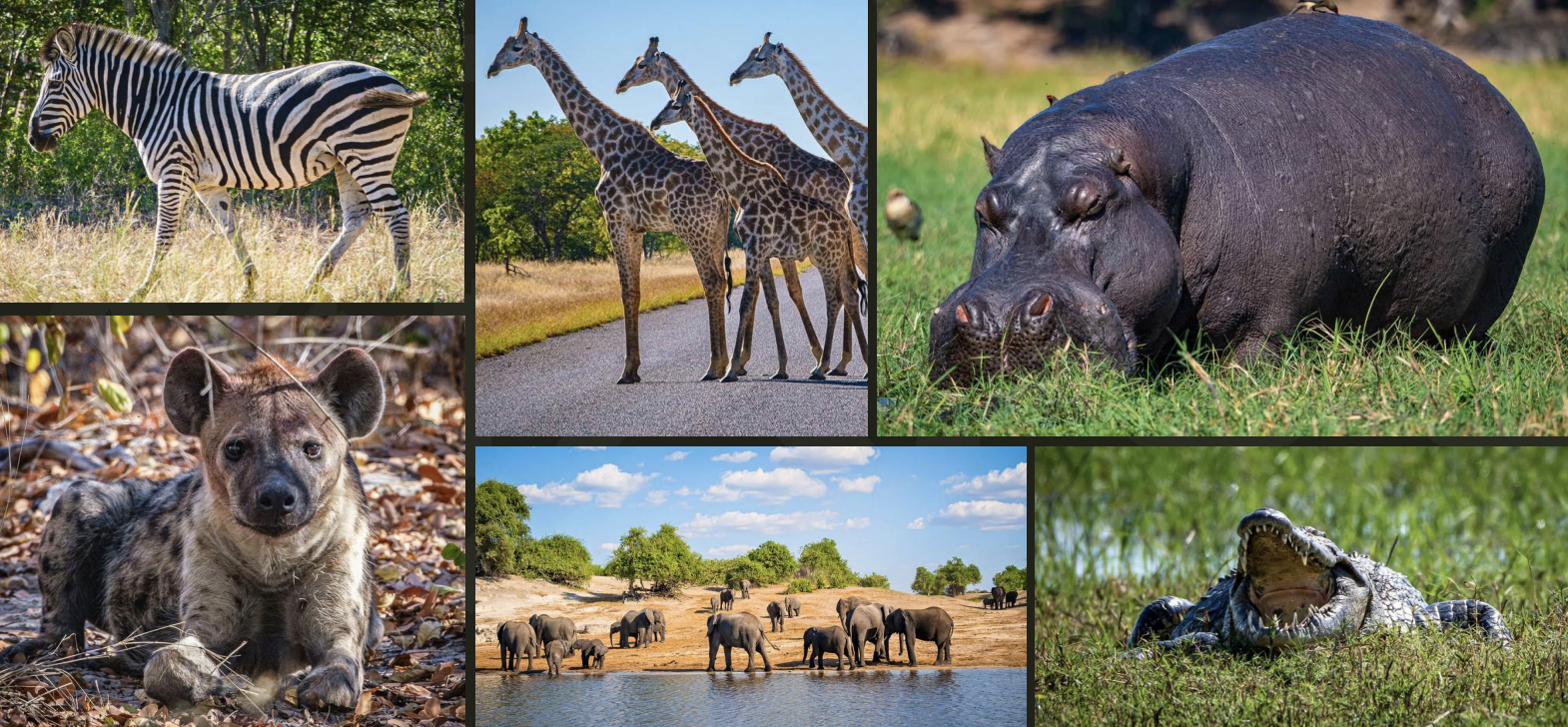 Munga Plains Yoga &amp; Safari