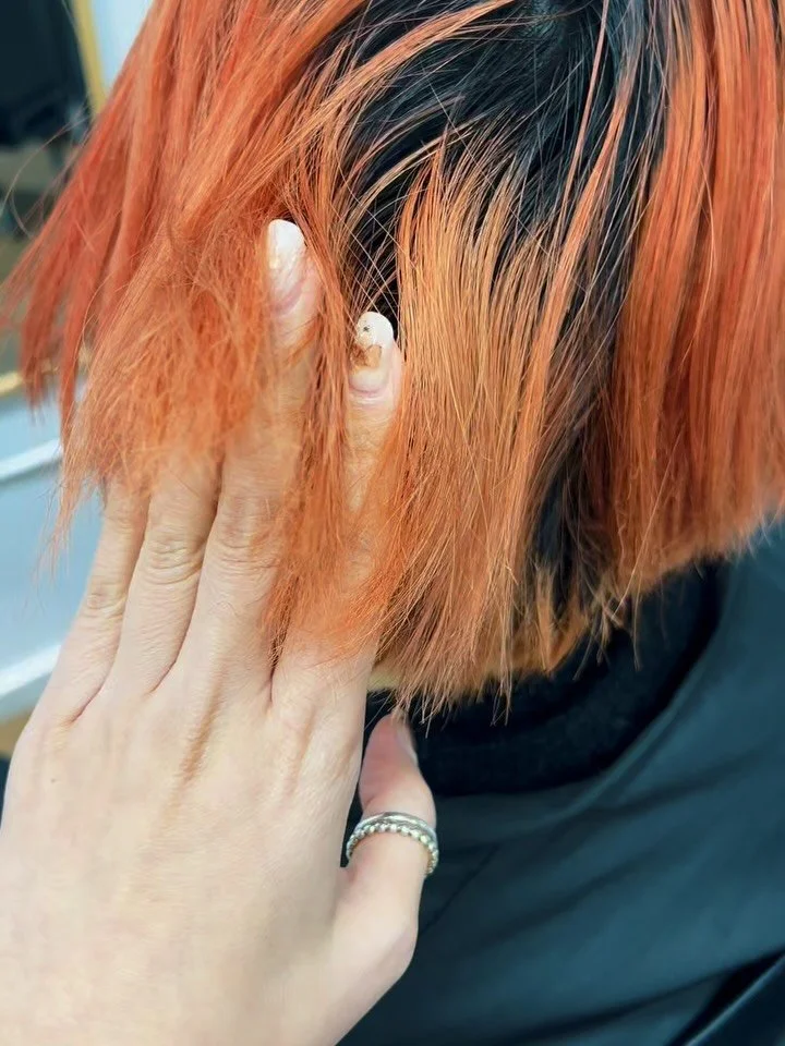 The Ultimate Hair Resurrection ✨
From heat-damaged &rdquo;straw&ldquo; to a glass-like finish. 🖤
The Transformation:
✂️ Precision Cut: Removing fried ends for a sharp silhouette.
💧 TOKIO INKARAMI: Deep structural repair and restoration.
🖤 Rich Dar