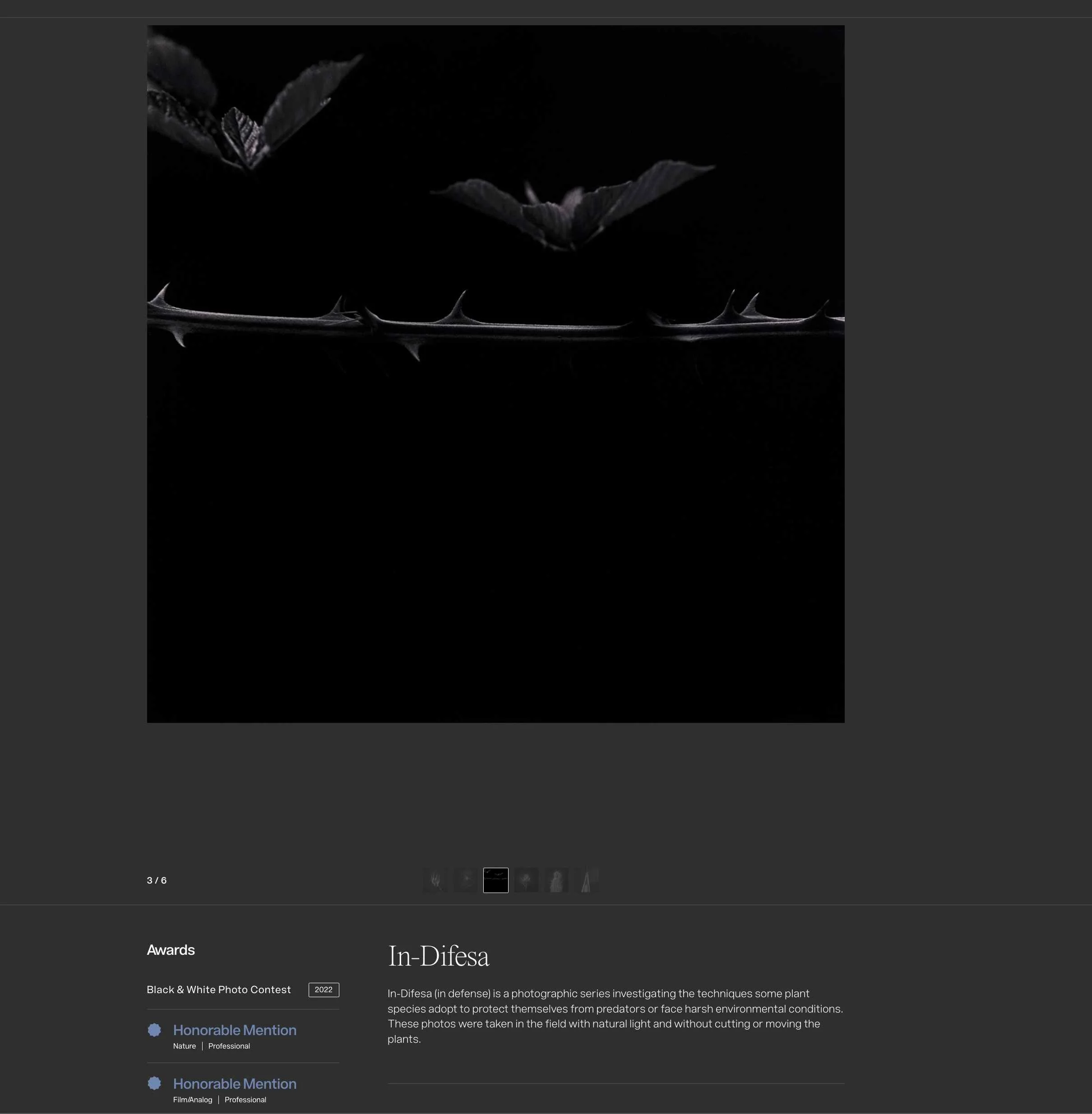 Menzione D'Onore Francesco Mussida