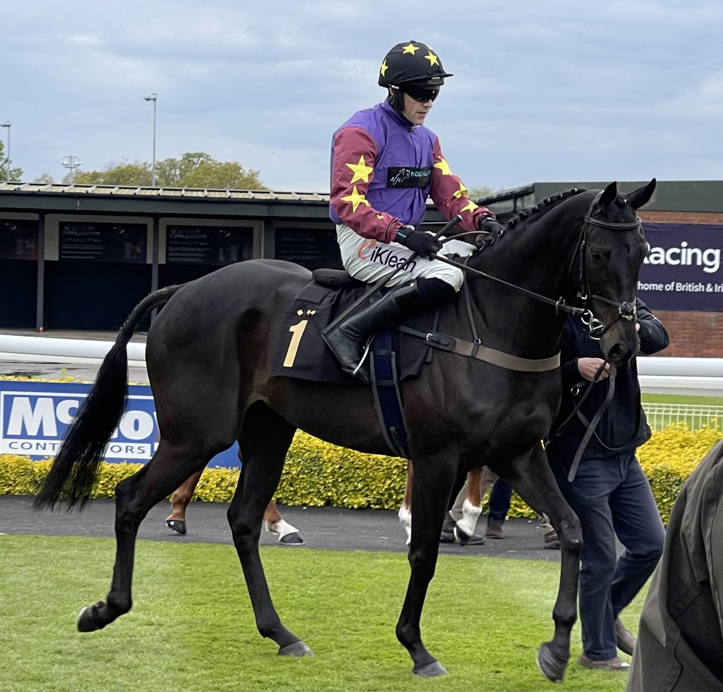 CA Parade Ring.jpg