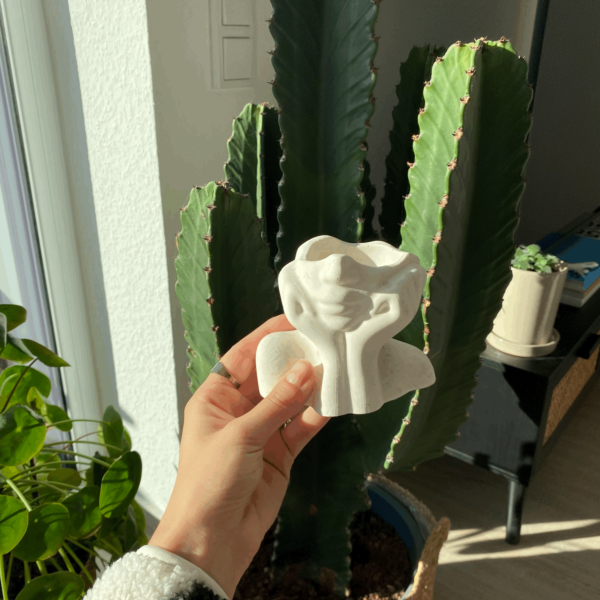 tempImagek5DTmq.gif
