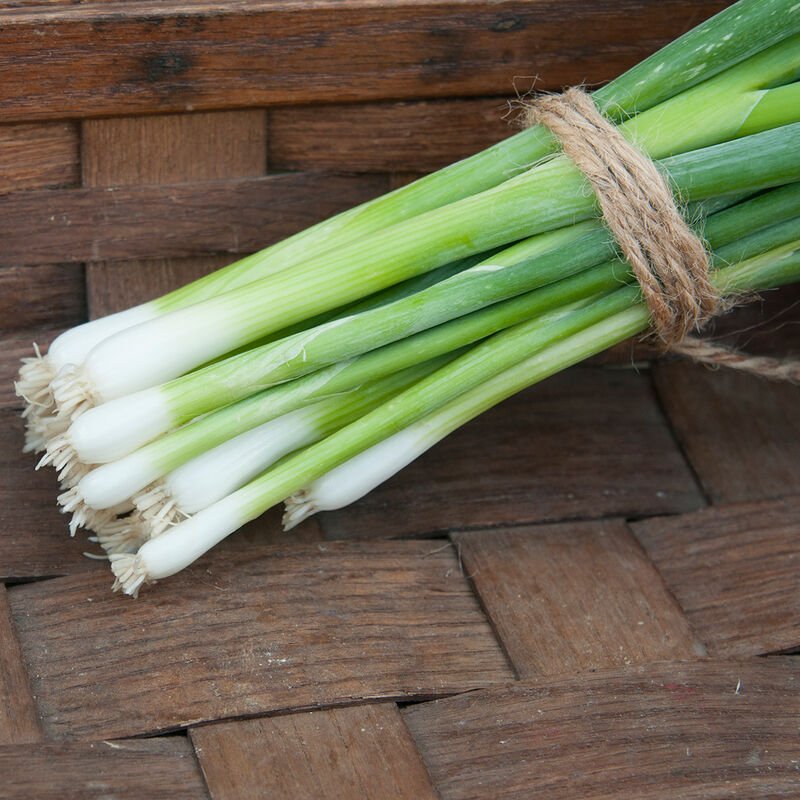 Bunching Onions