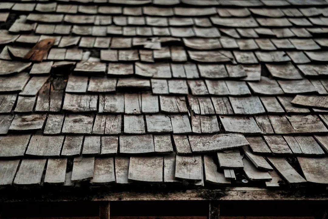 Top Signs Your Roof Has Storm Damage and Needs Professional Attention