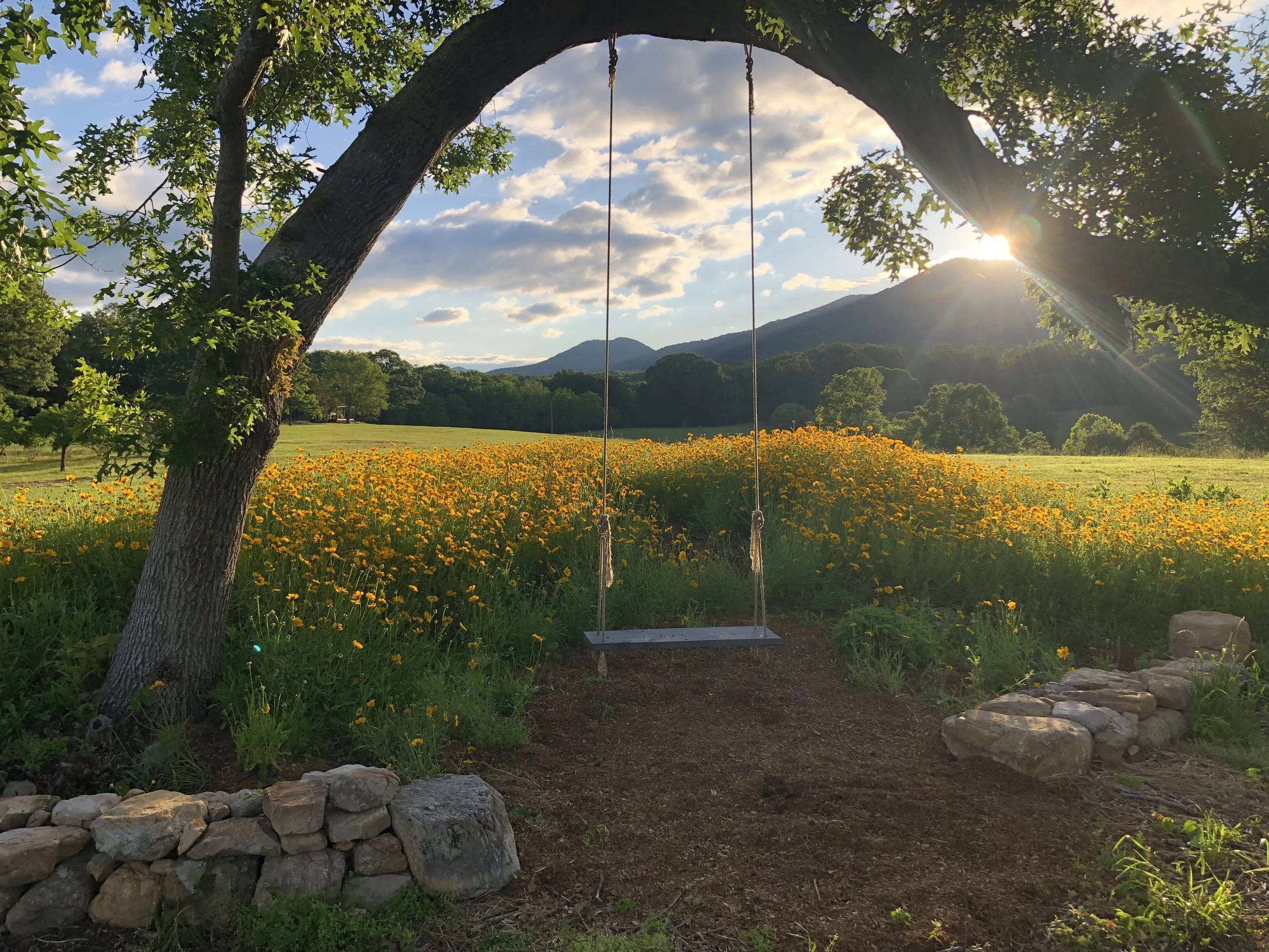 The Coreopsis Mound with Natual Arch and swing