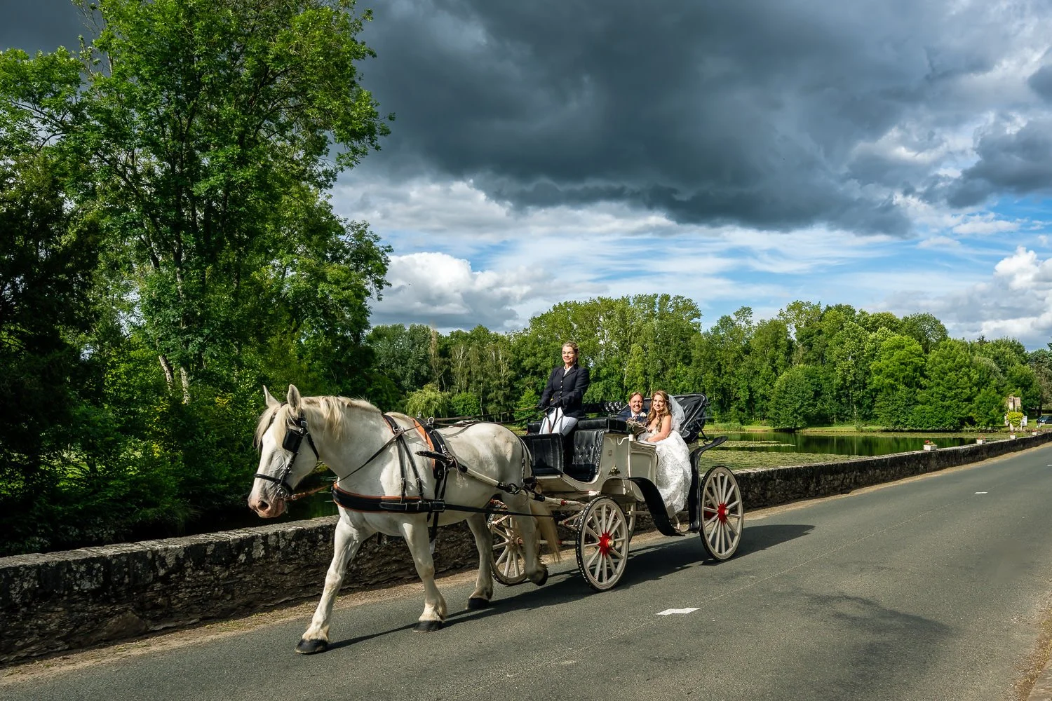 A horse-drawn carriage with three women in wedding dresses riding through a green park by a body of water, under a partly cloudy sky.