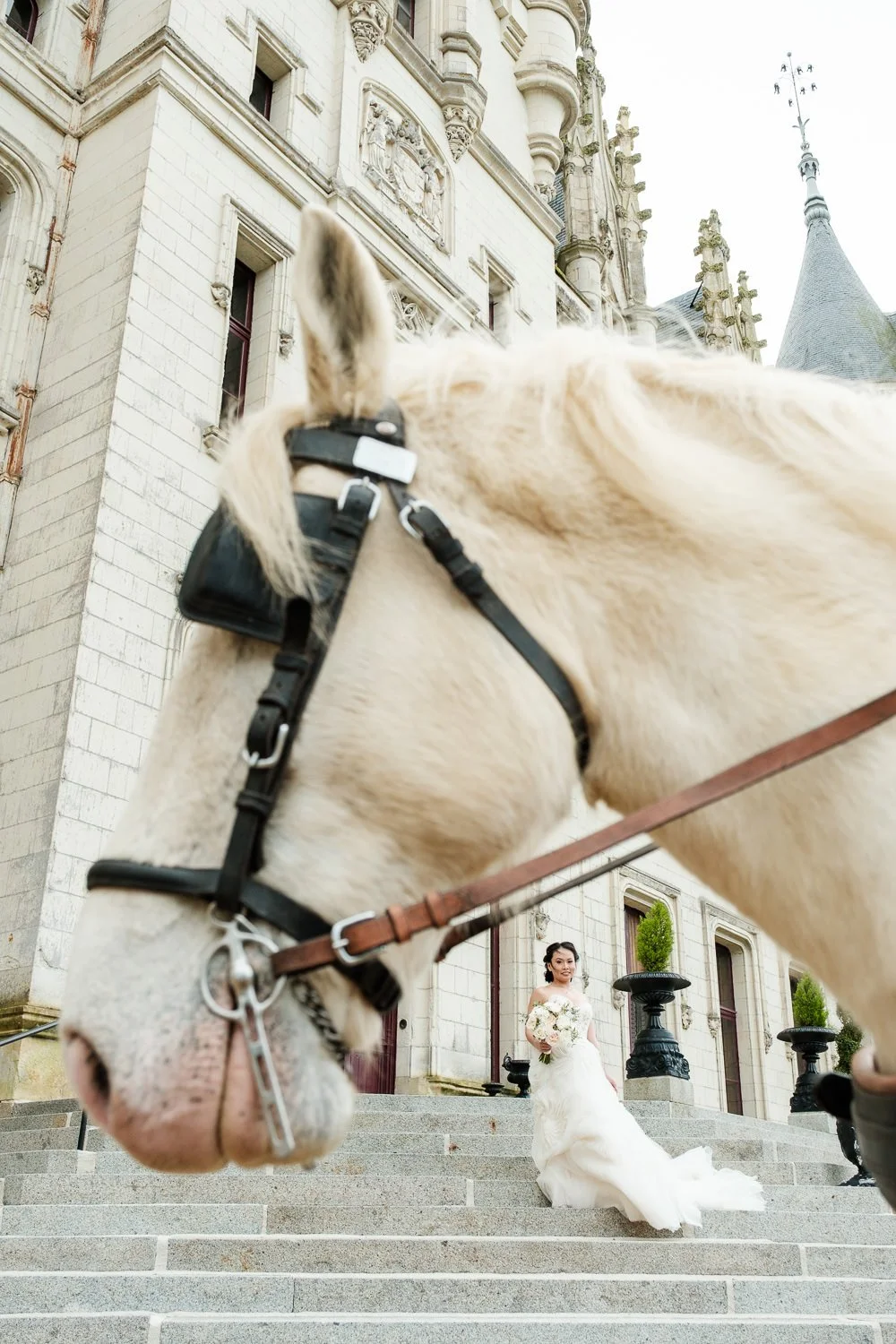 A large white horse with a bridle in the foreground, and a bride in a wedding dress holding a bouquet of flowers in the background outside a grand, historic building with stone steps and ornate architecture.