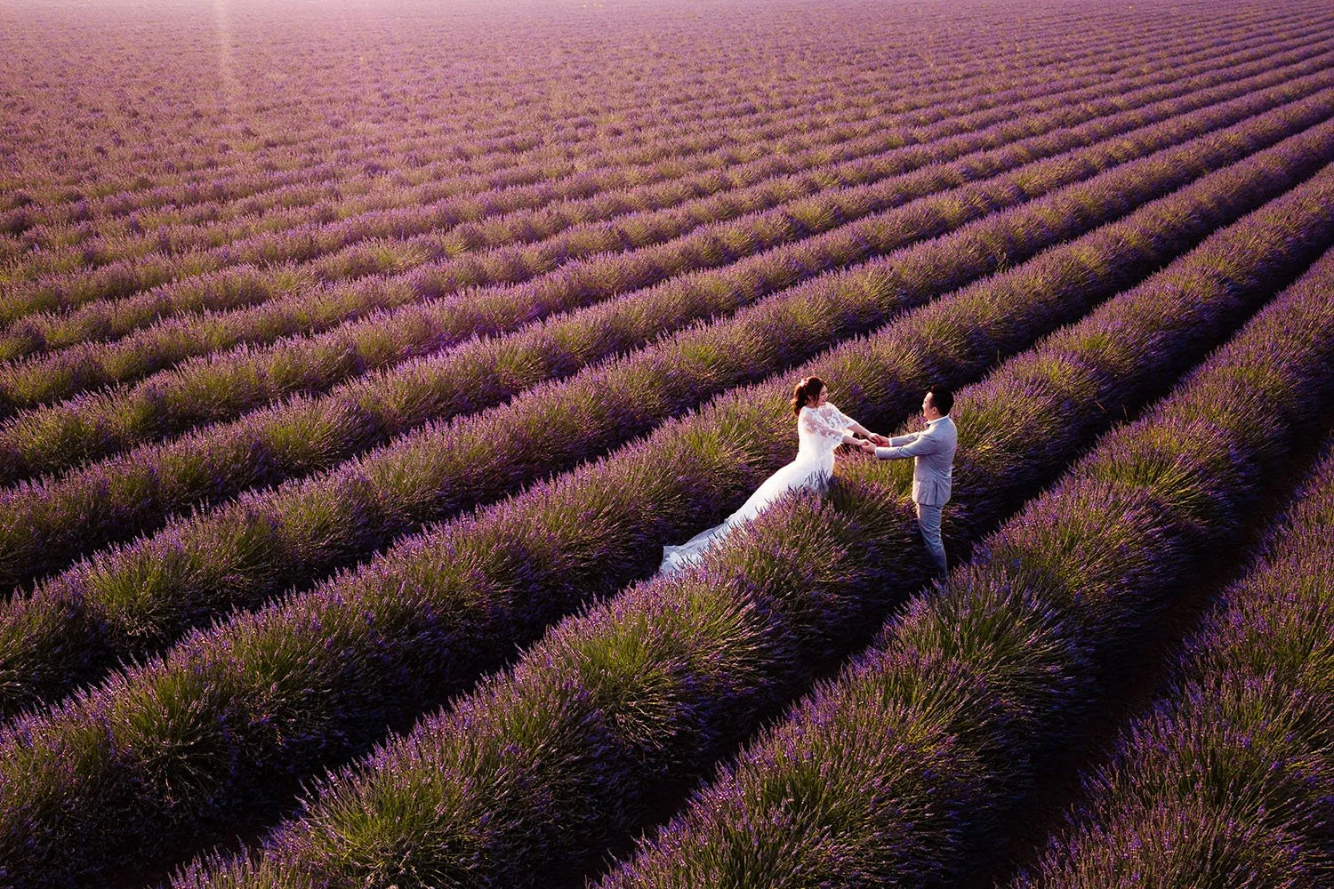 Lavender field France wedding Flavio Bandiera