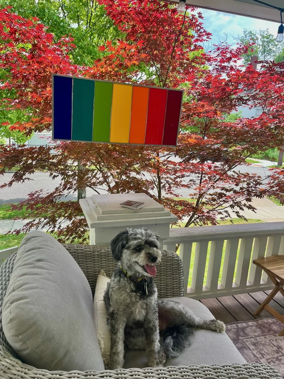 Rainbow Zinc 32x15 Decor 2.jpeg